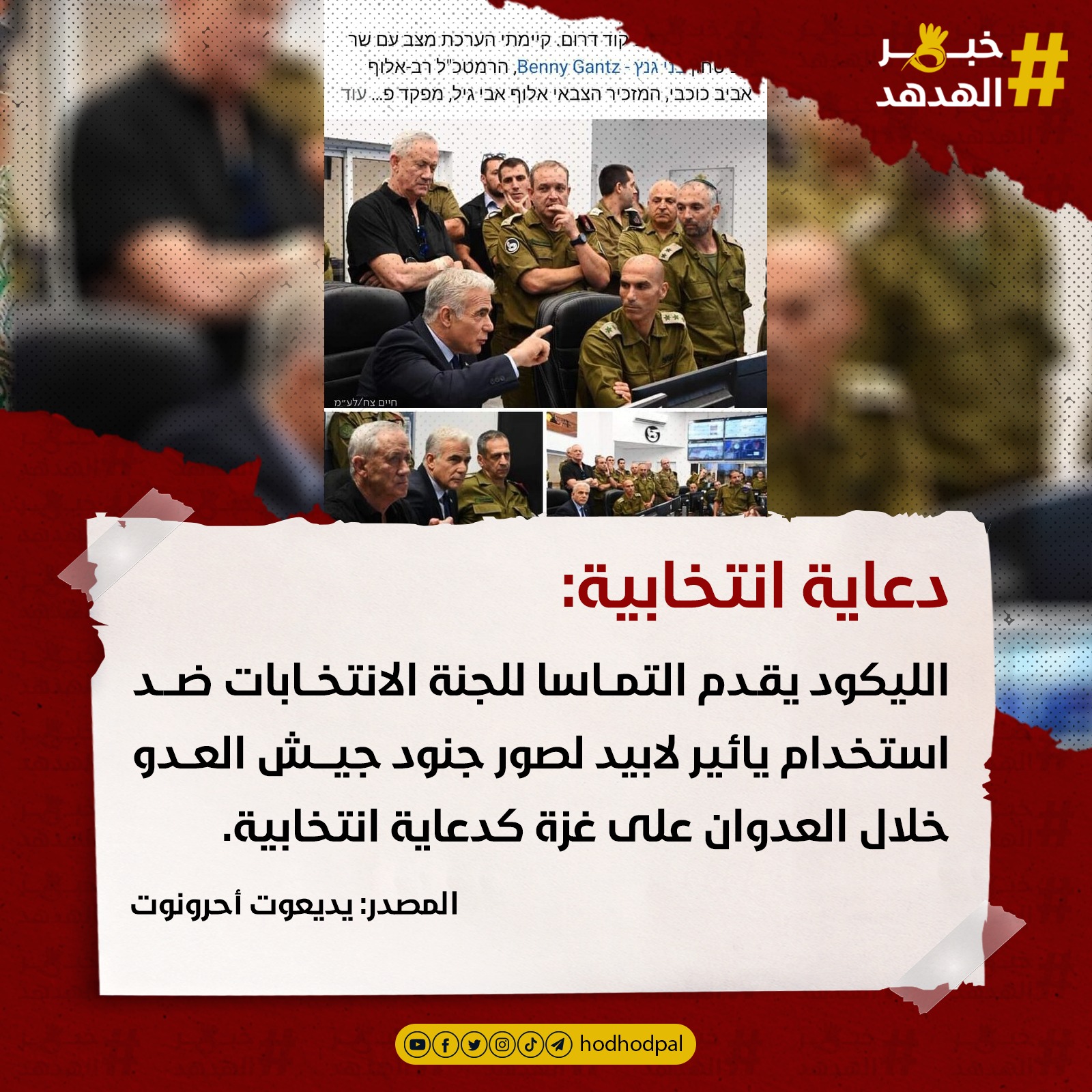 #خبر_الهدهد