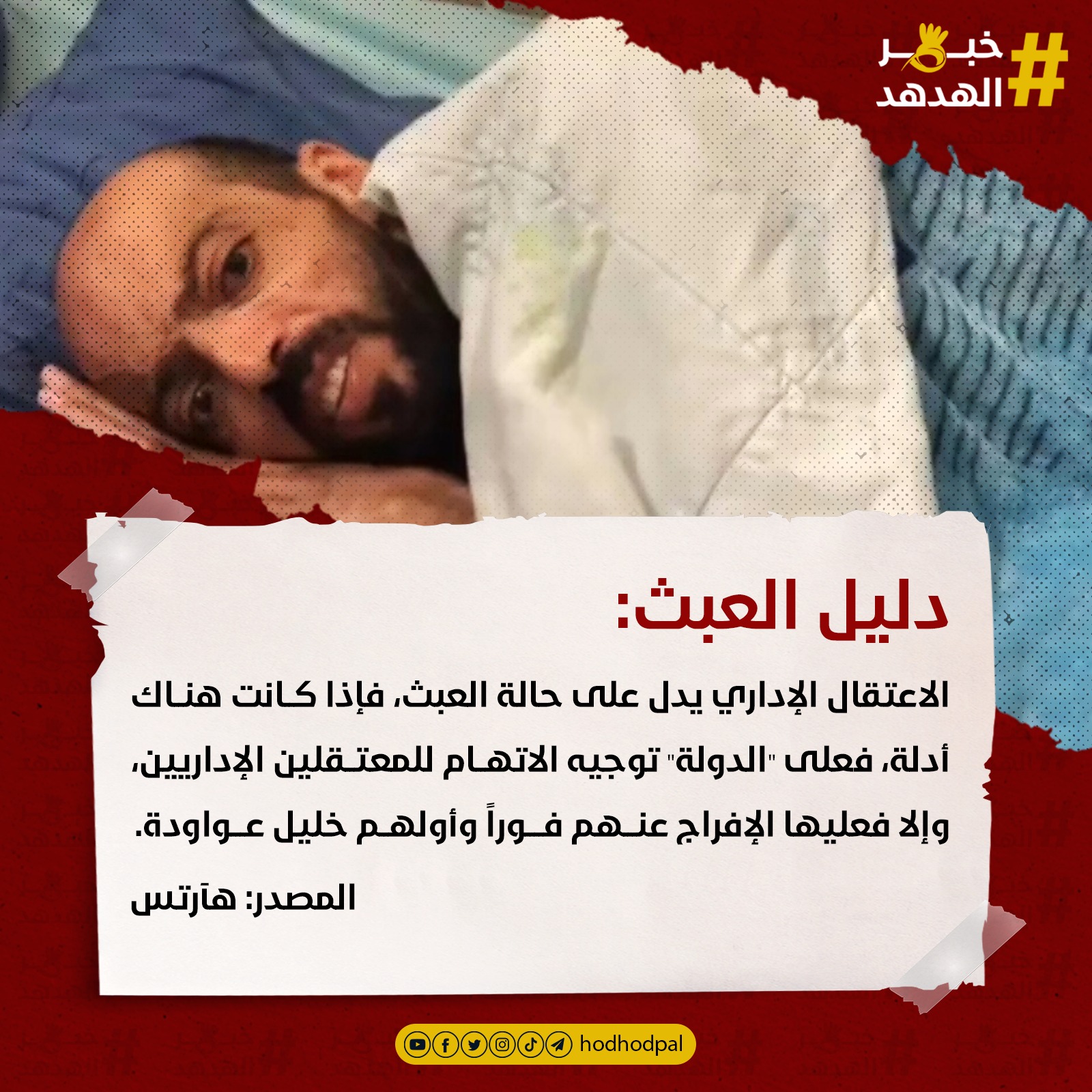 #خبر_الهدهد