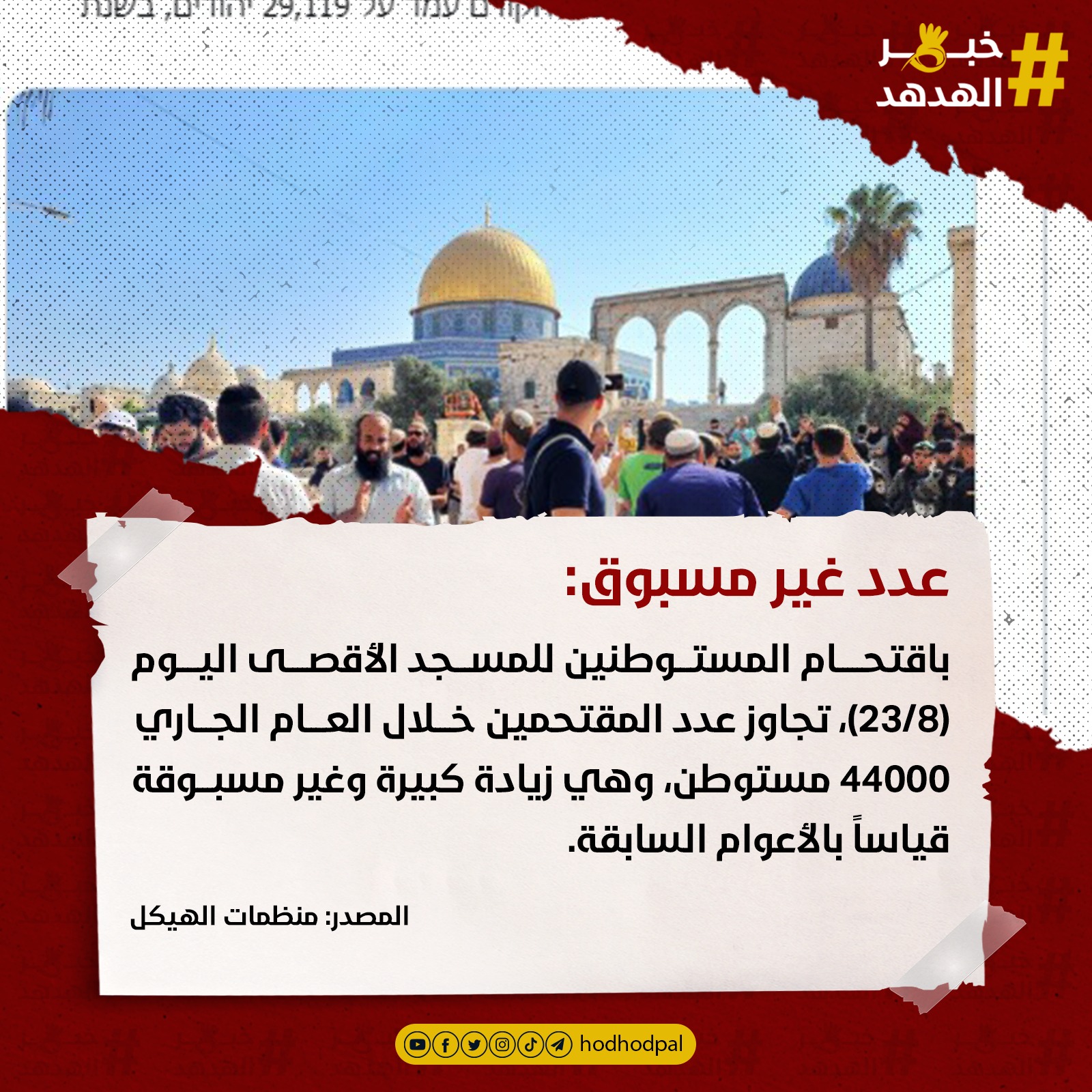 #خبر_الهدهد