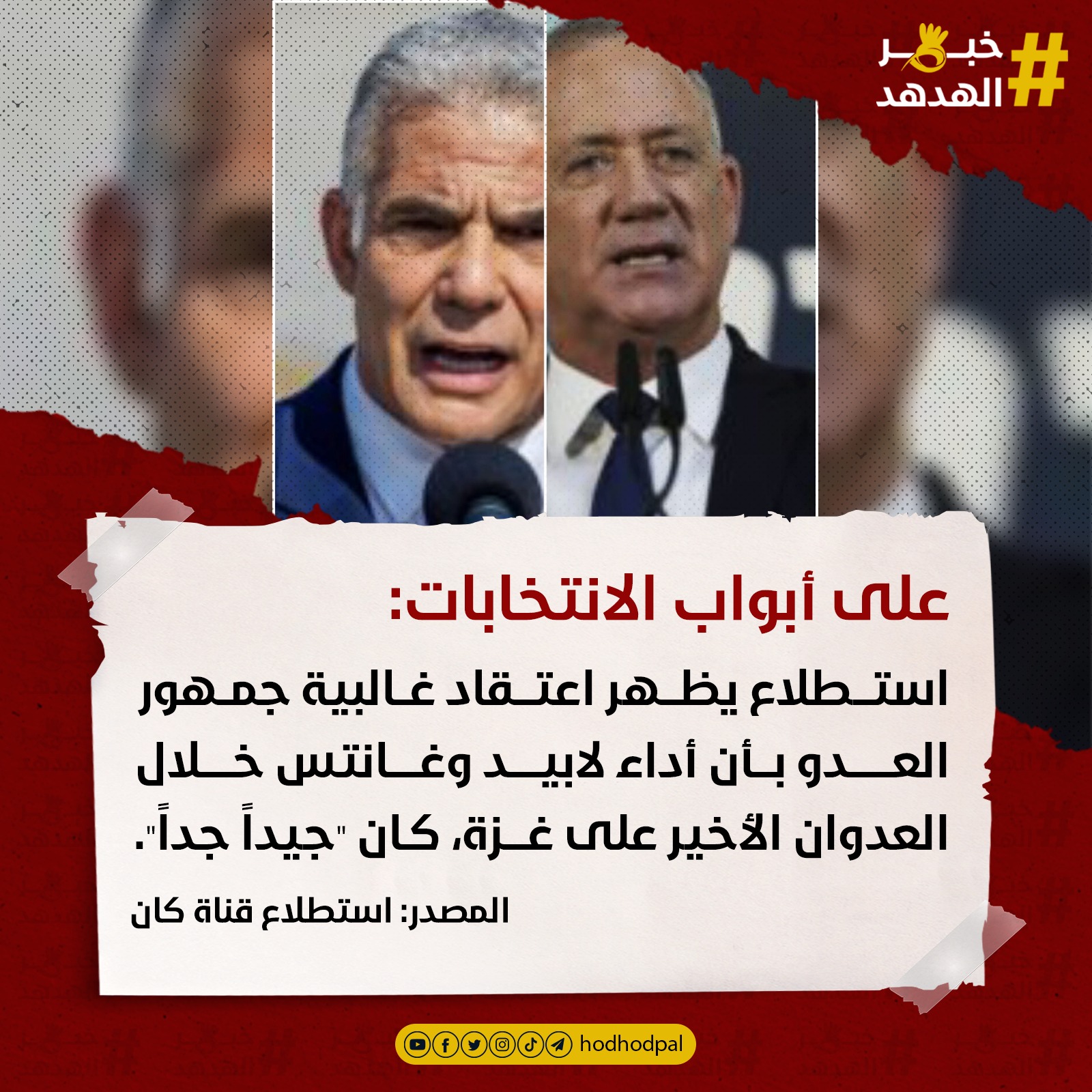 #خبر_الهدهد
