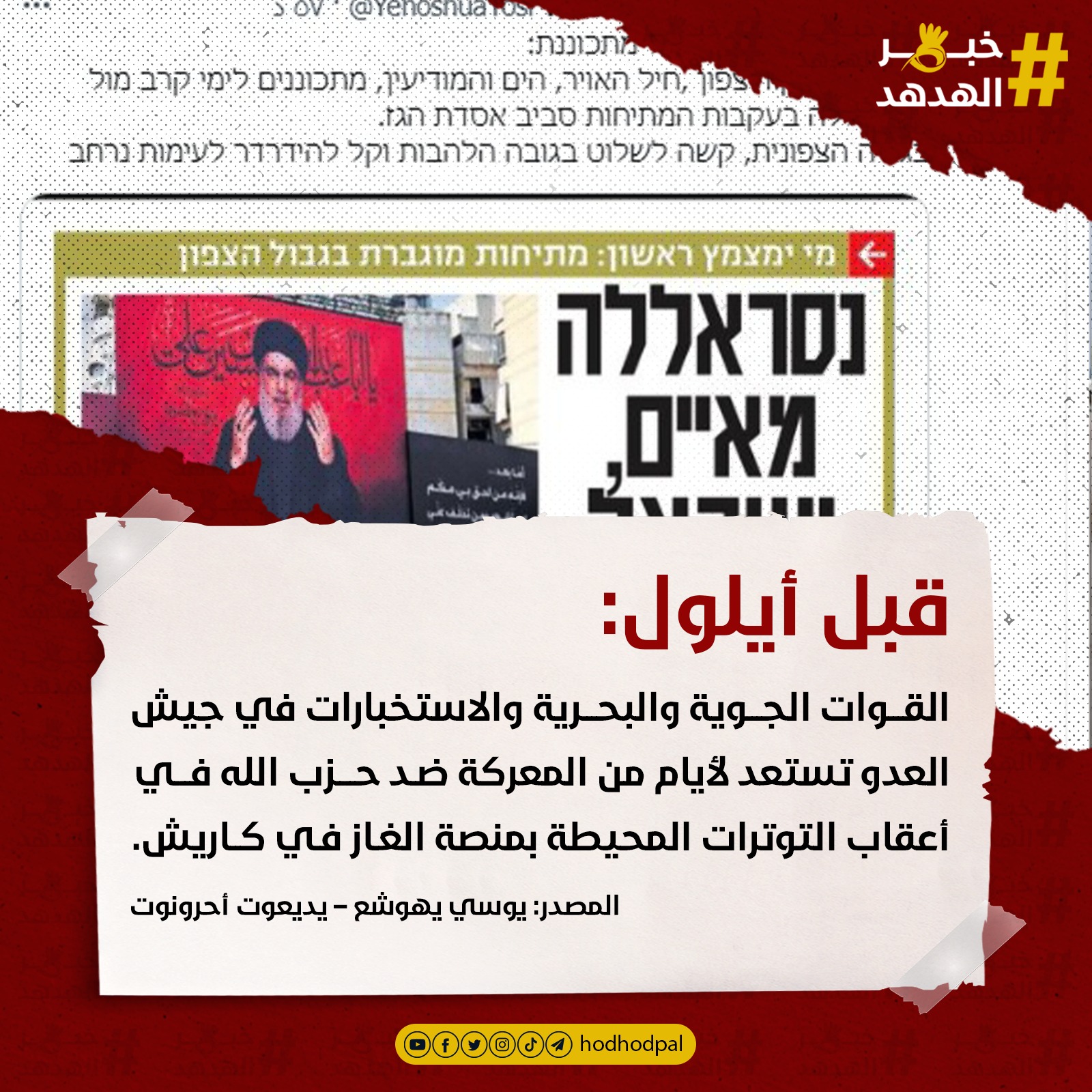 #خبر_الهدهد