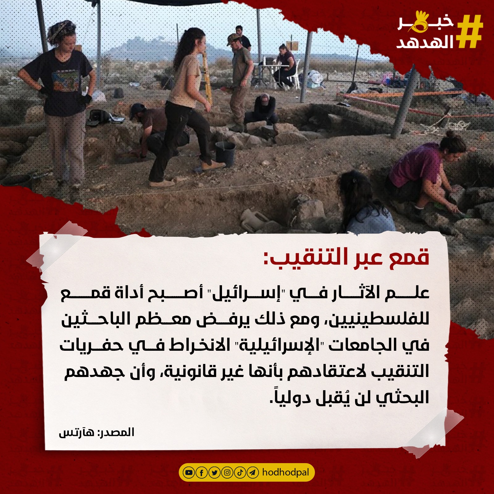 #خبر_الهدهد