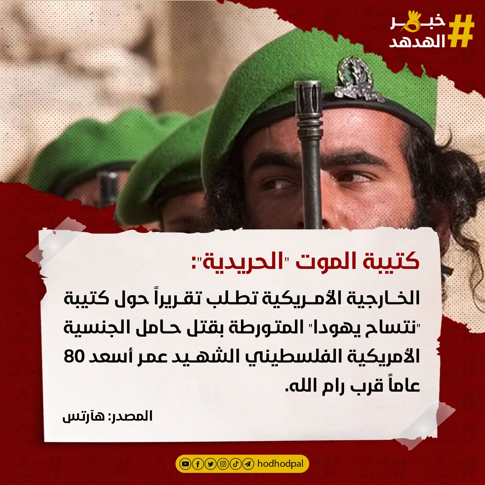#خبر_الهدهد