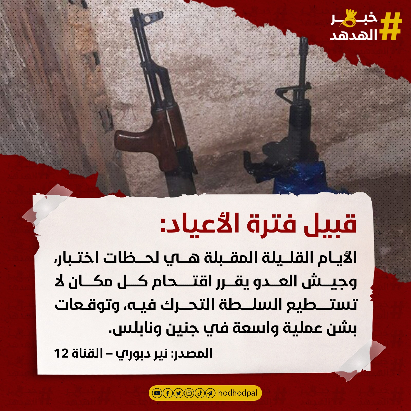 #خبر_الهدهد