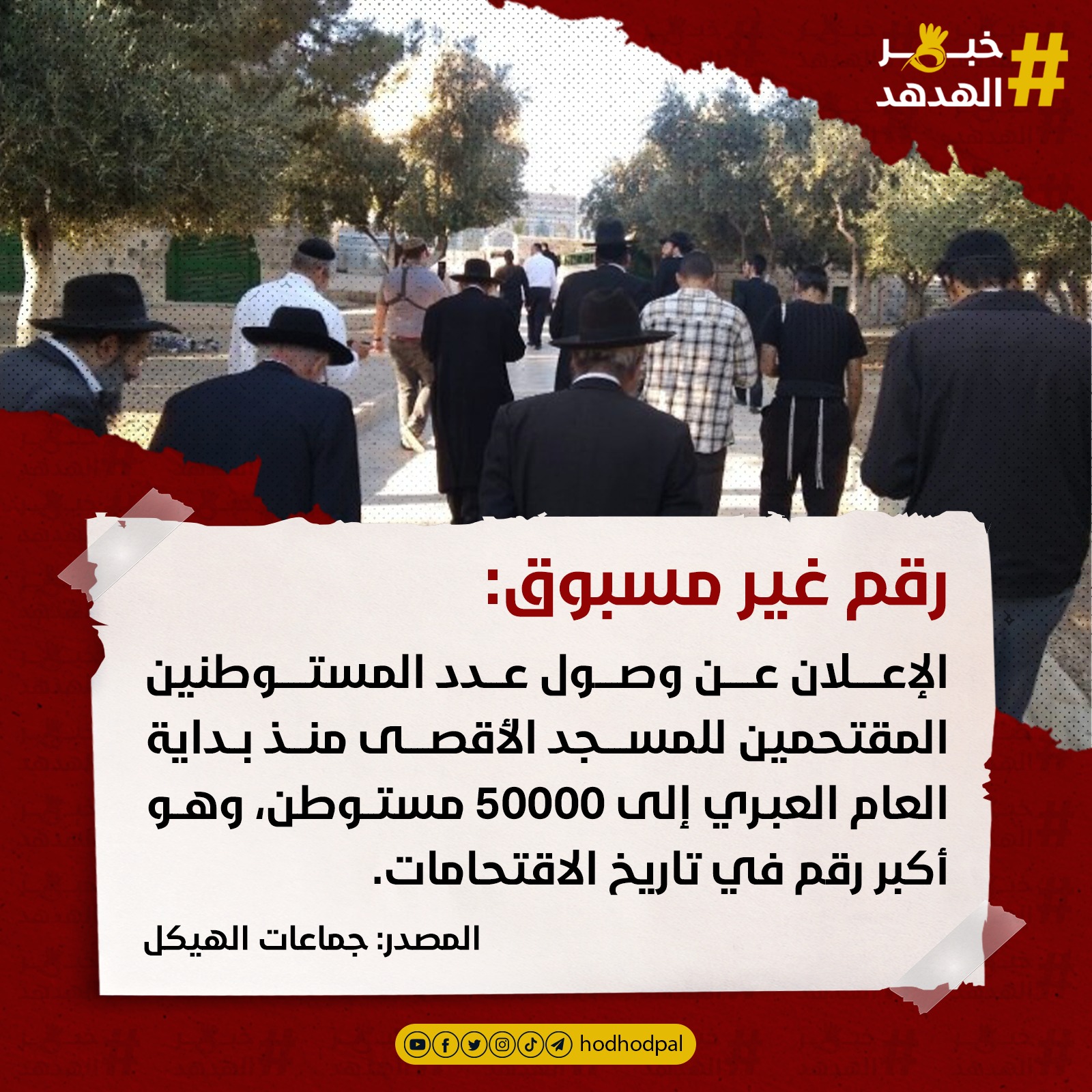 #خبر_الهدهد