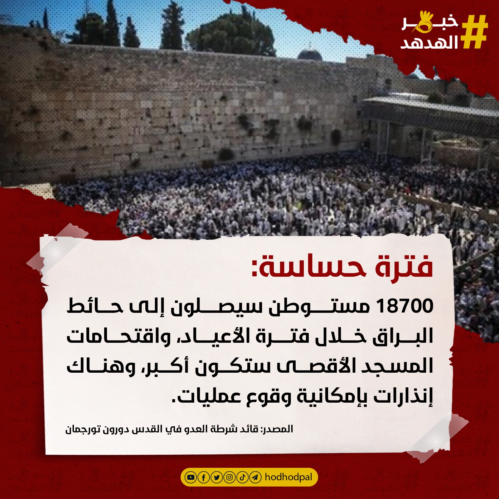 #خبر_الهدهد