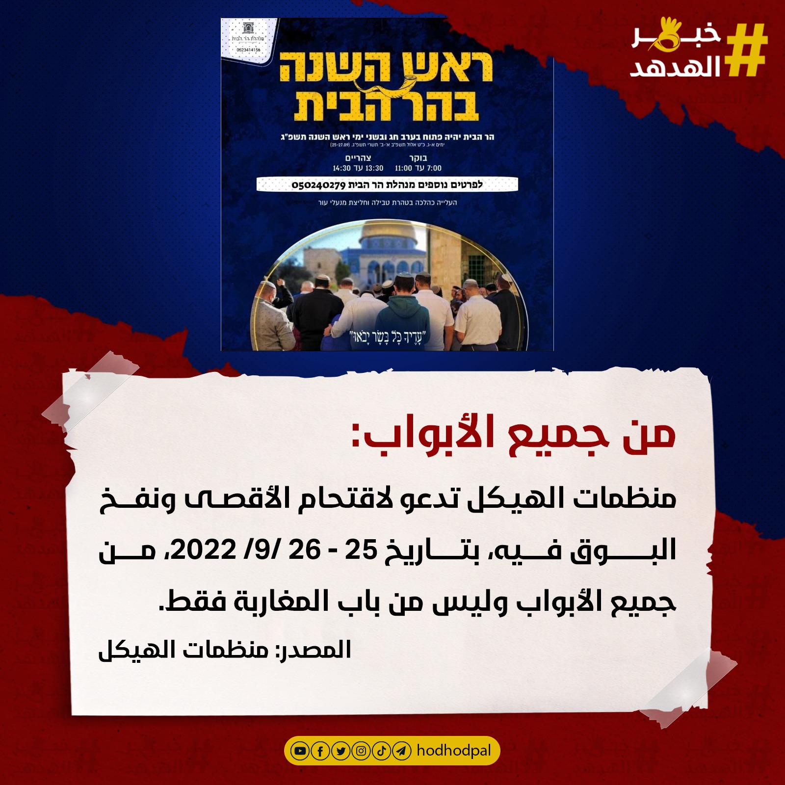 #خبر_الهدهد