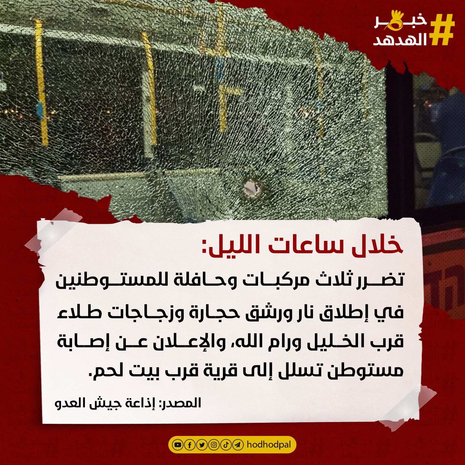 #خبر_الهدهد