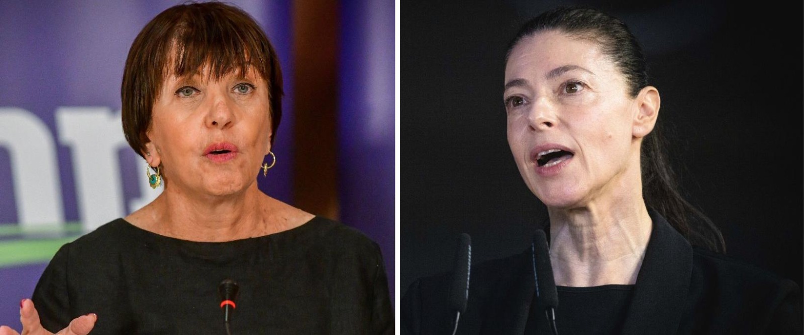 تحذيرات من الاتحاد بين حزبي ميرتس والعمل