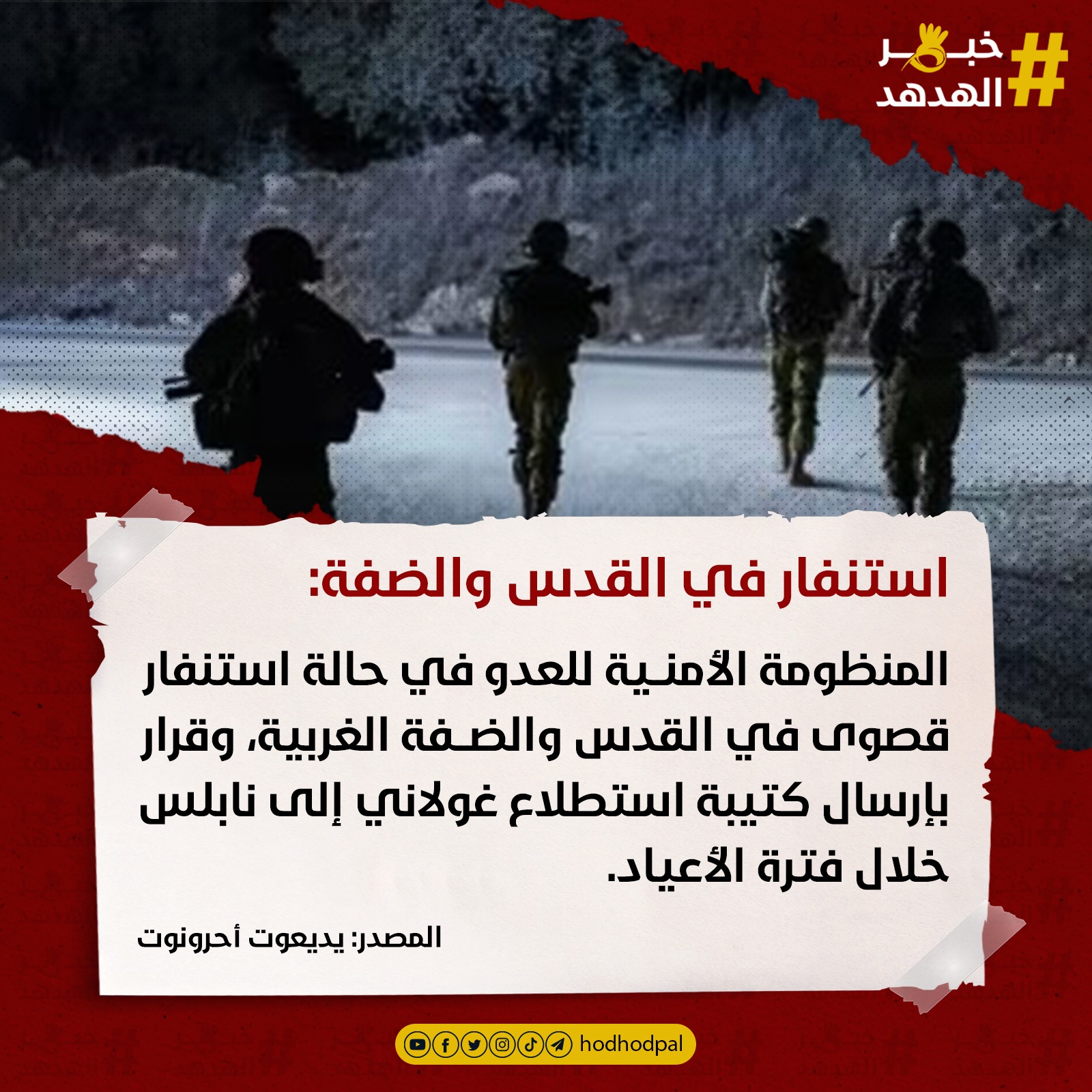 #خبر_الهدهد