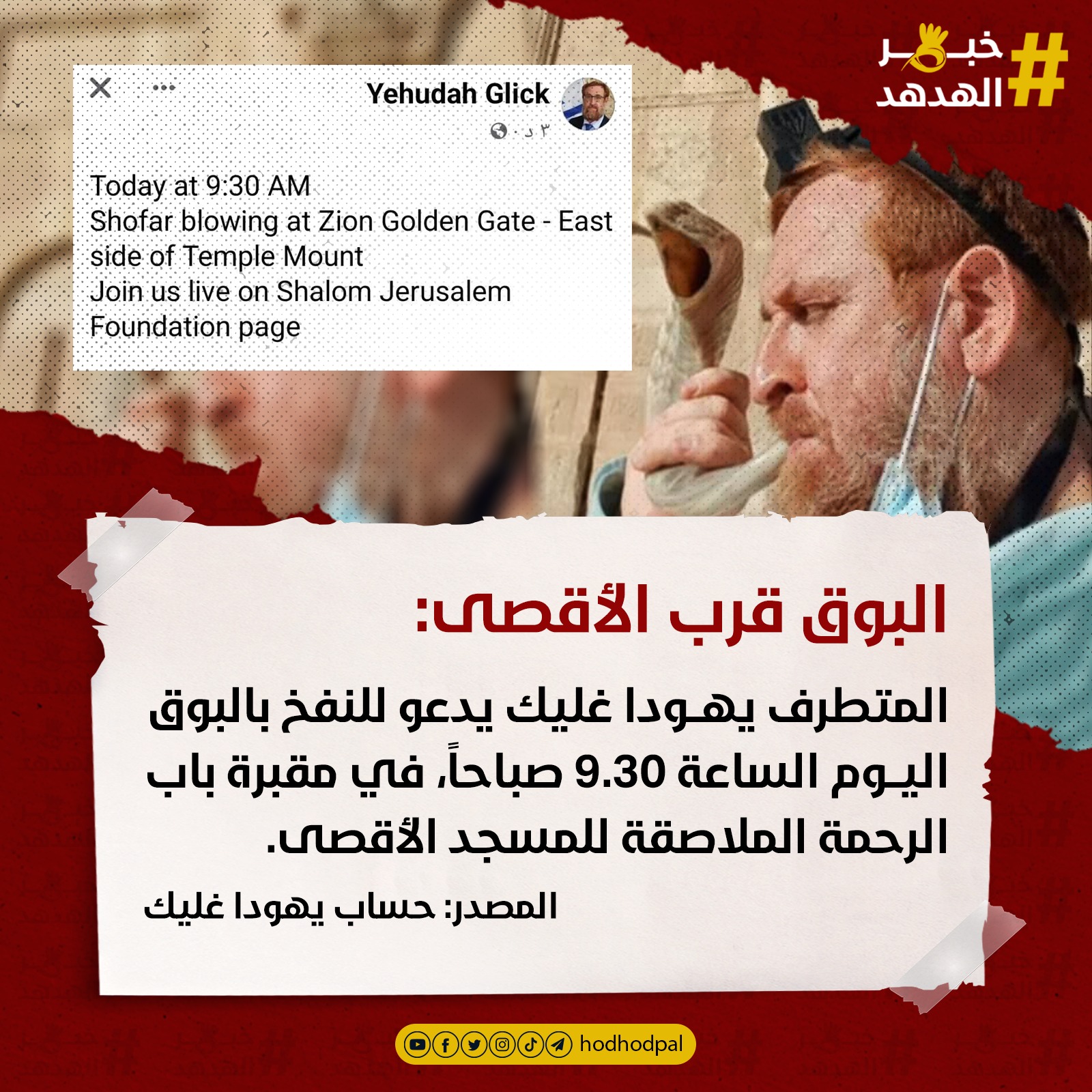 #خبر_الهدهد