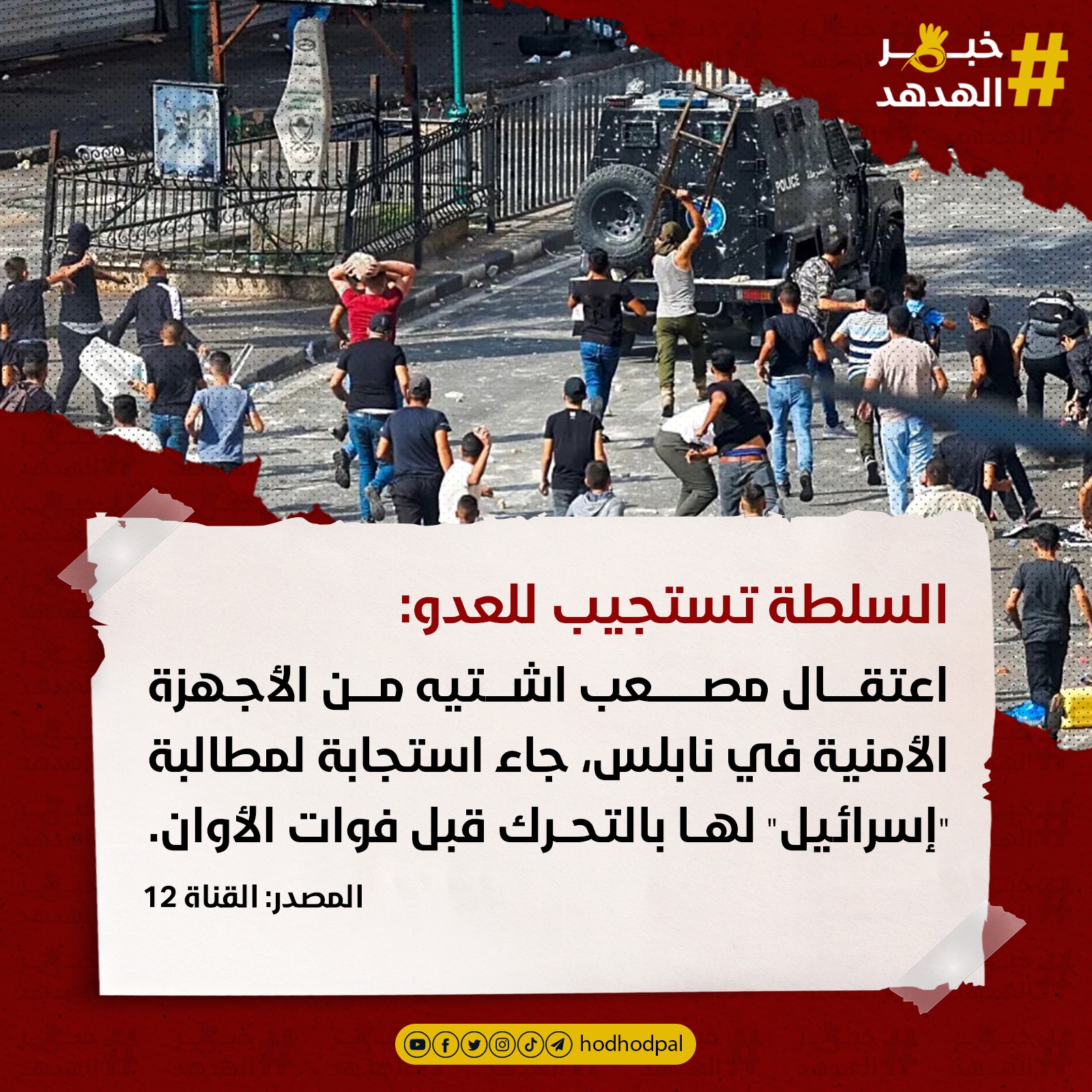 #خبر_الهدهد