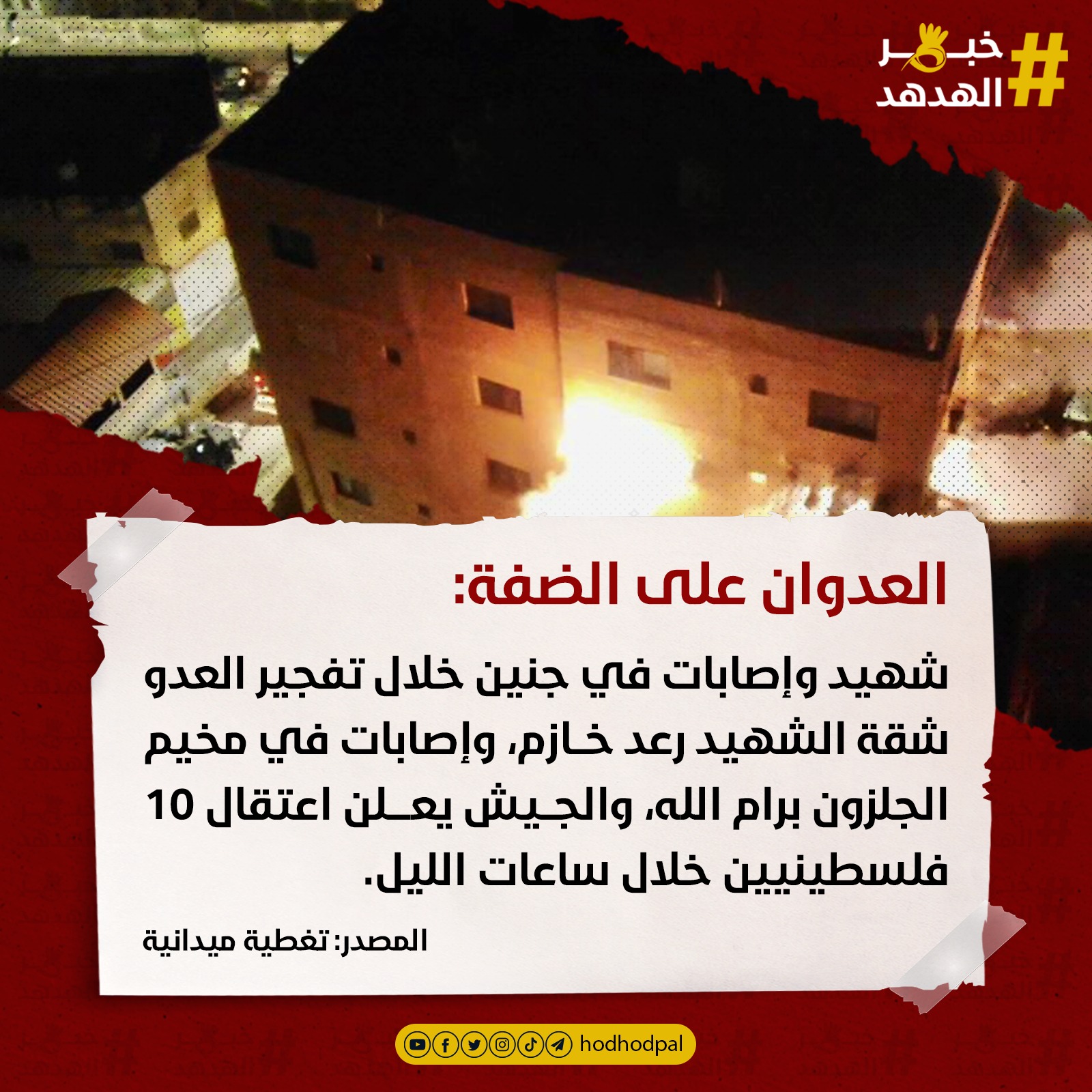 #خبر_الهدهد