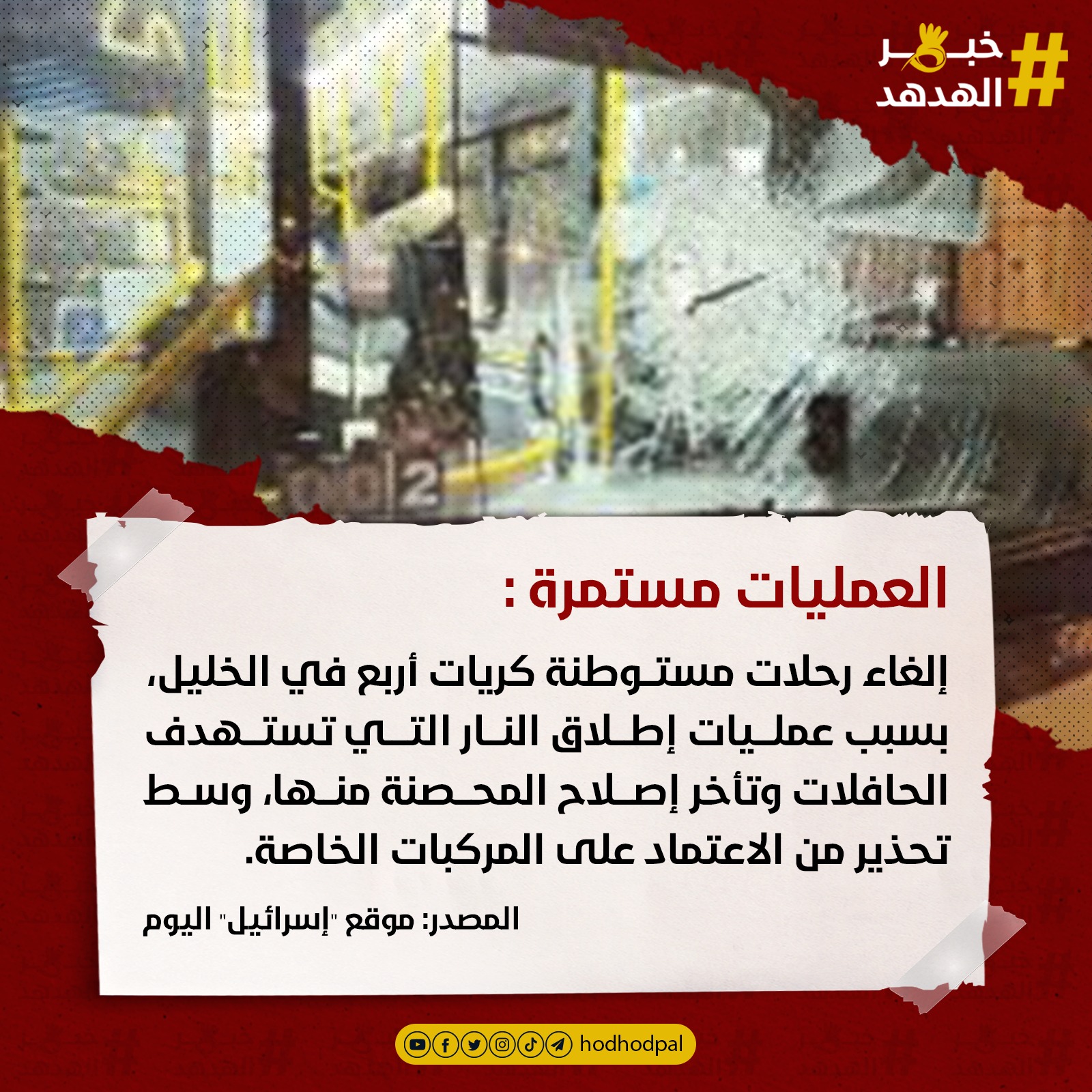 #خبر_الهدهد