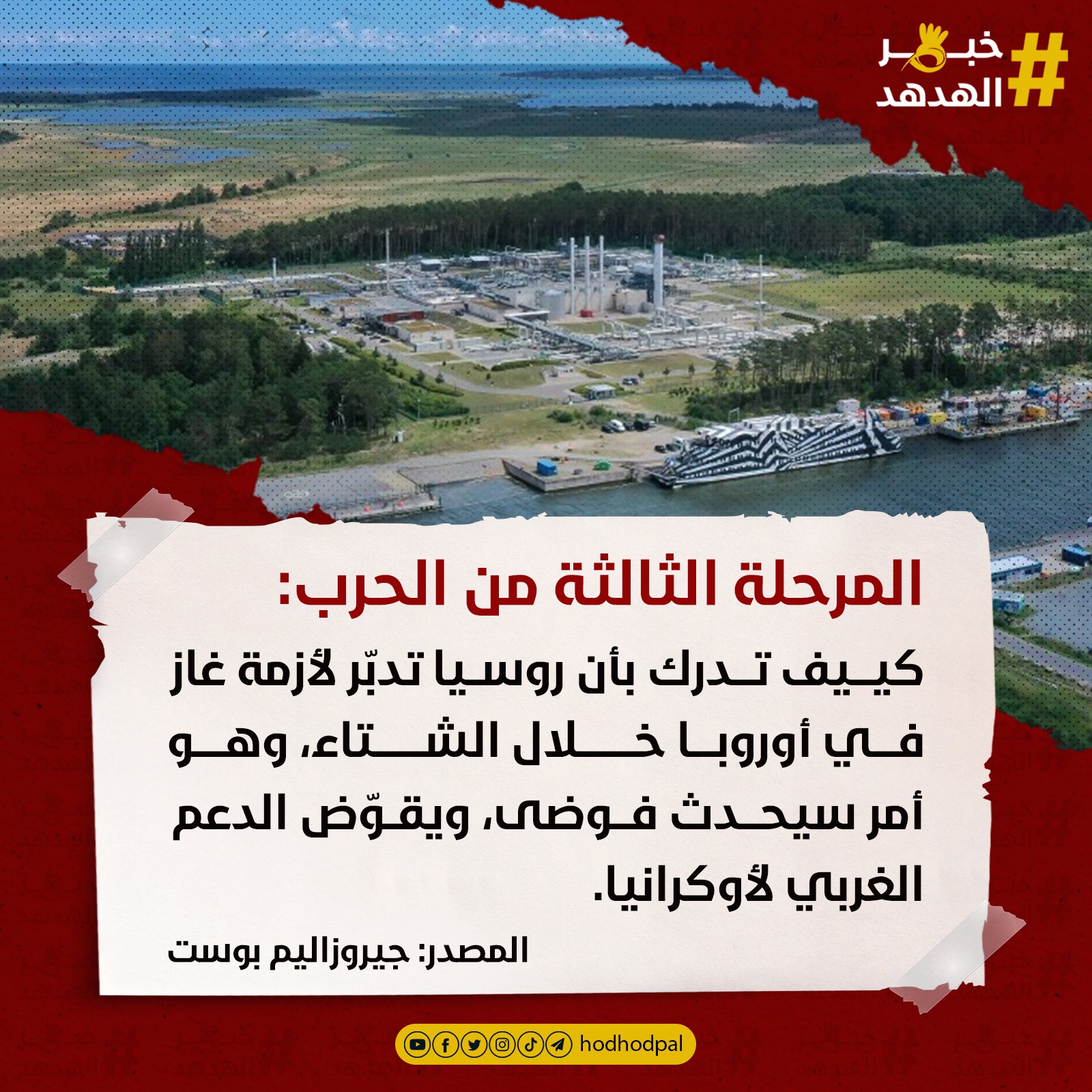 #خبر_الهدهد