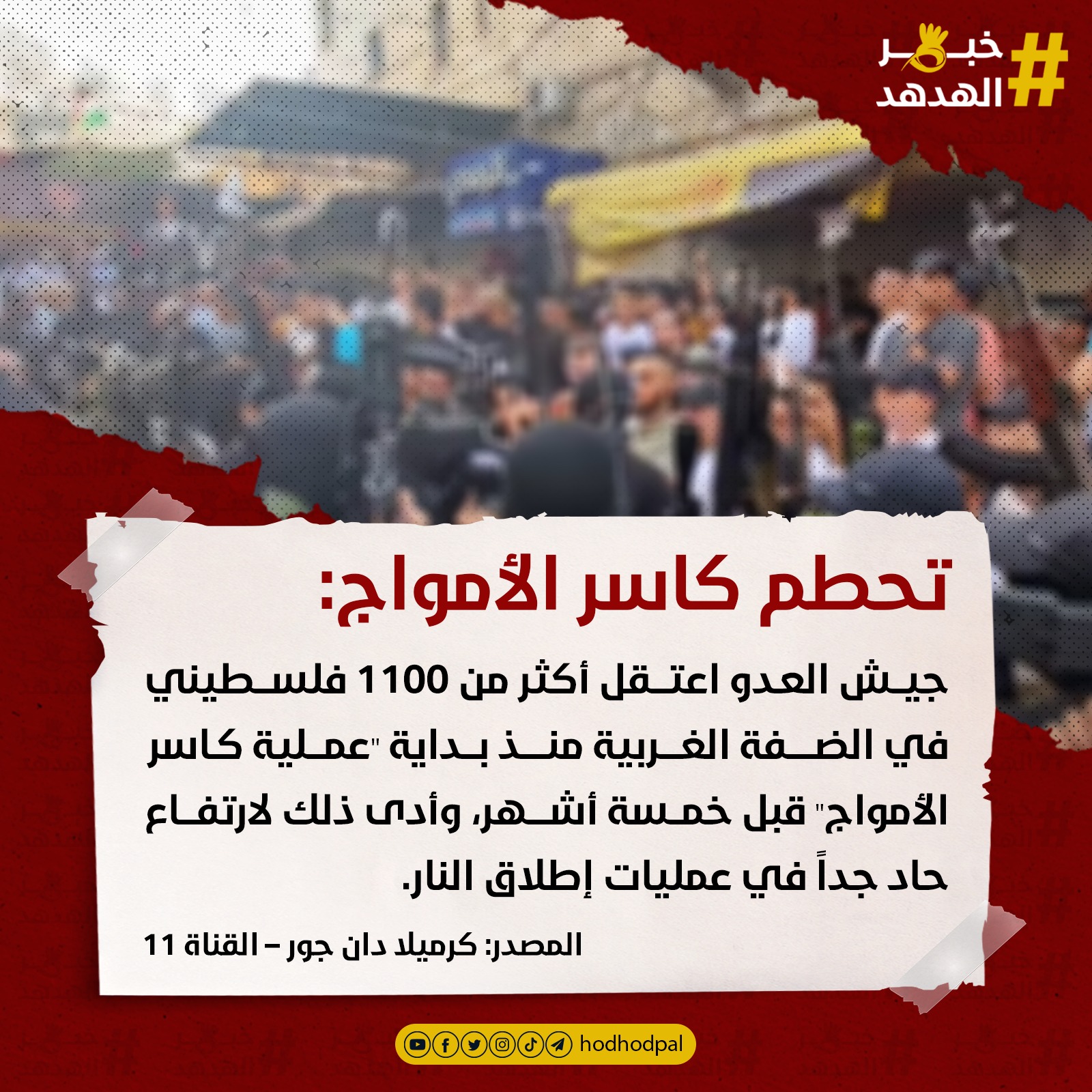#خبر_الهدهد