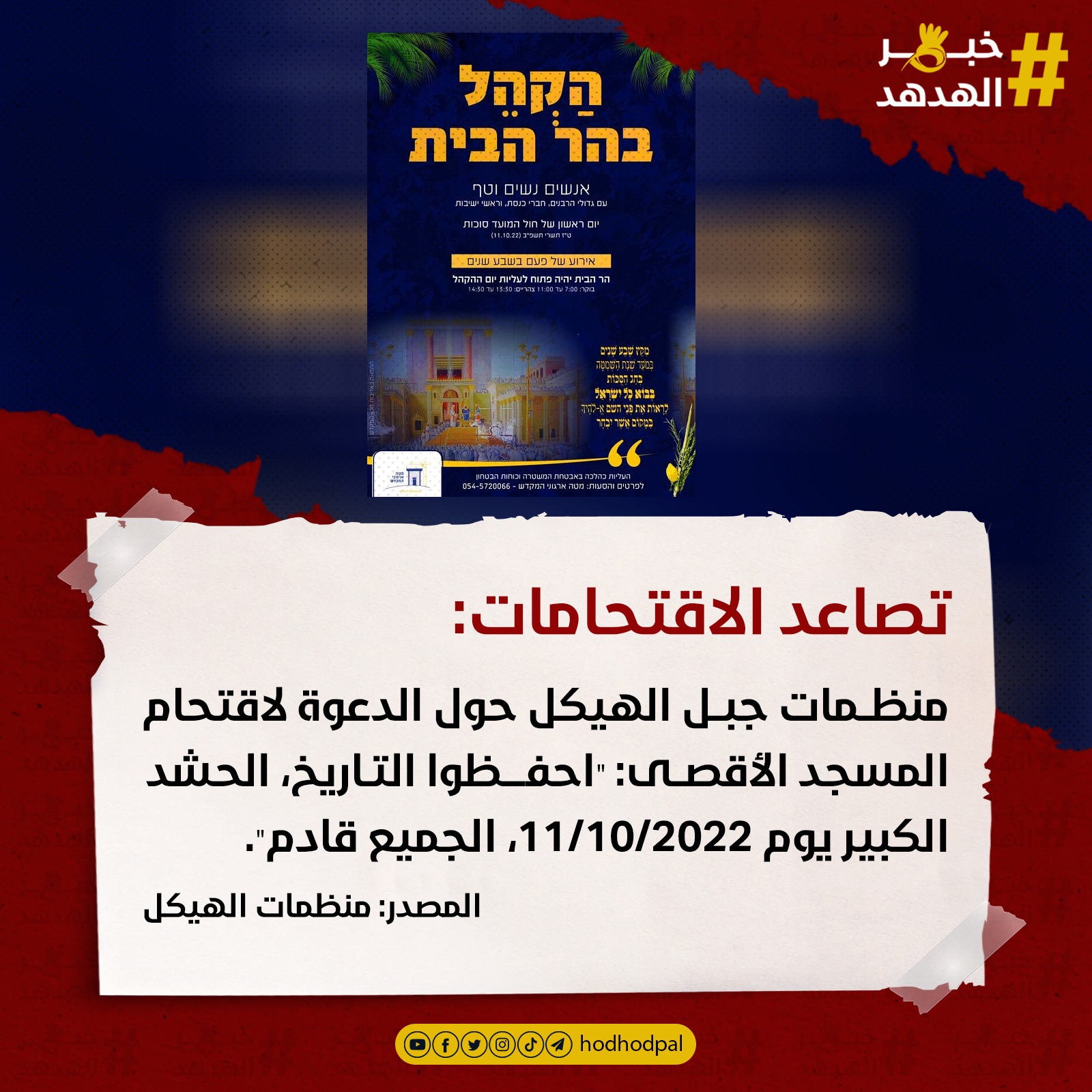 #خبر_الهدهد