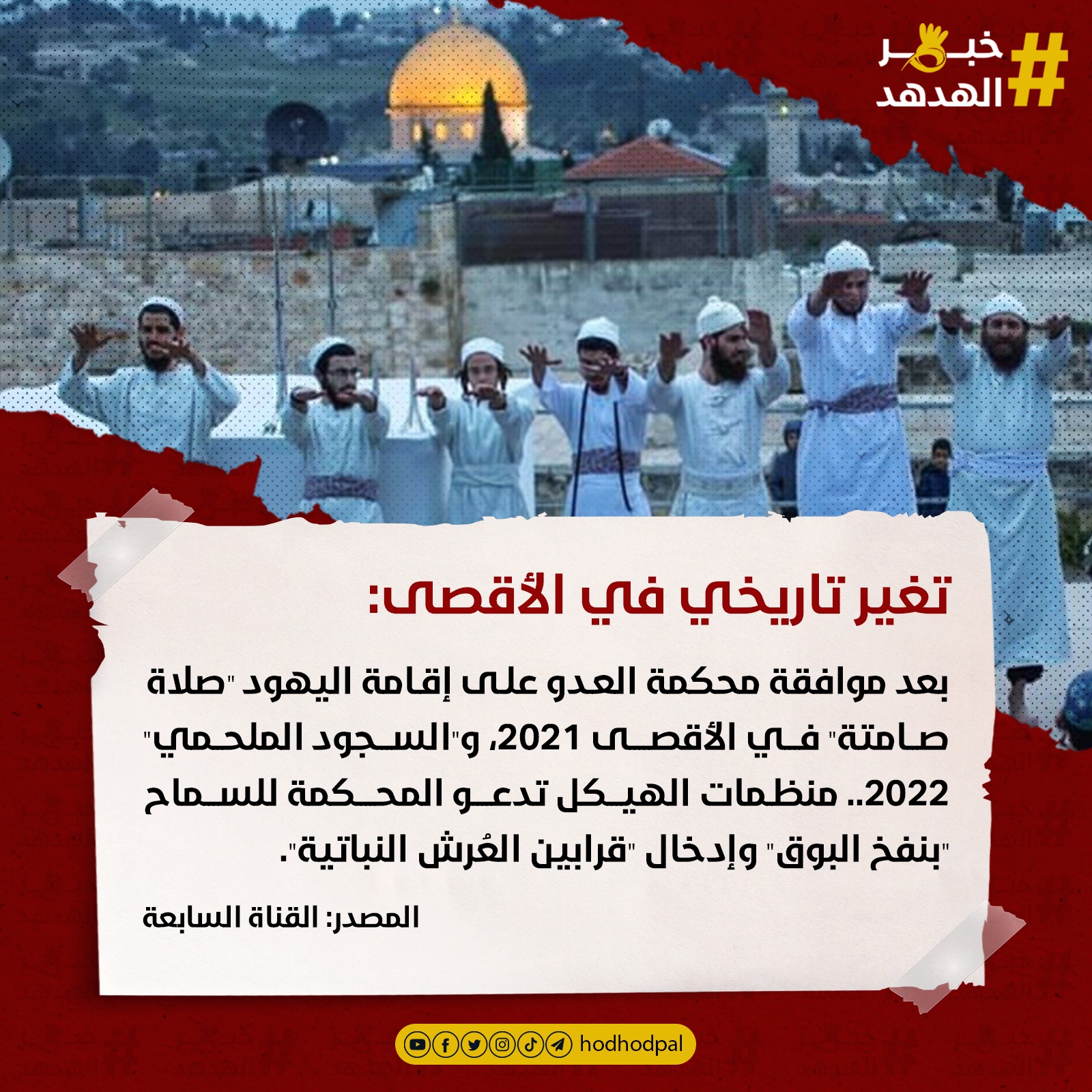 #خبر_الهدهد