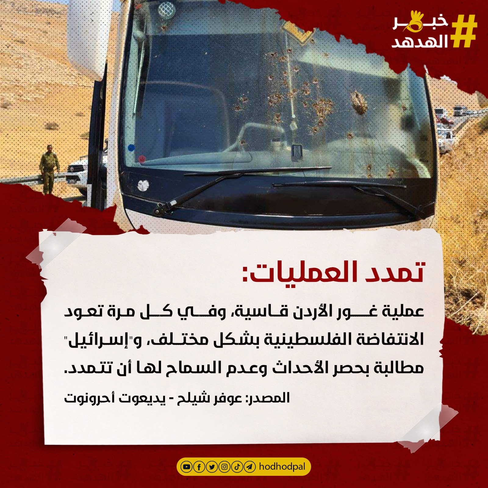 #خبر_الهدهد