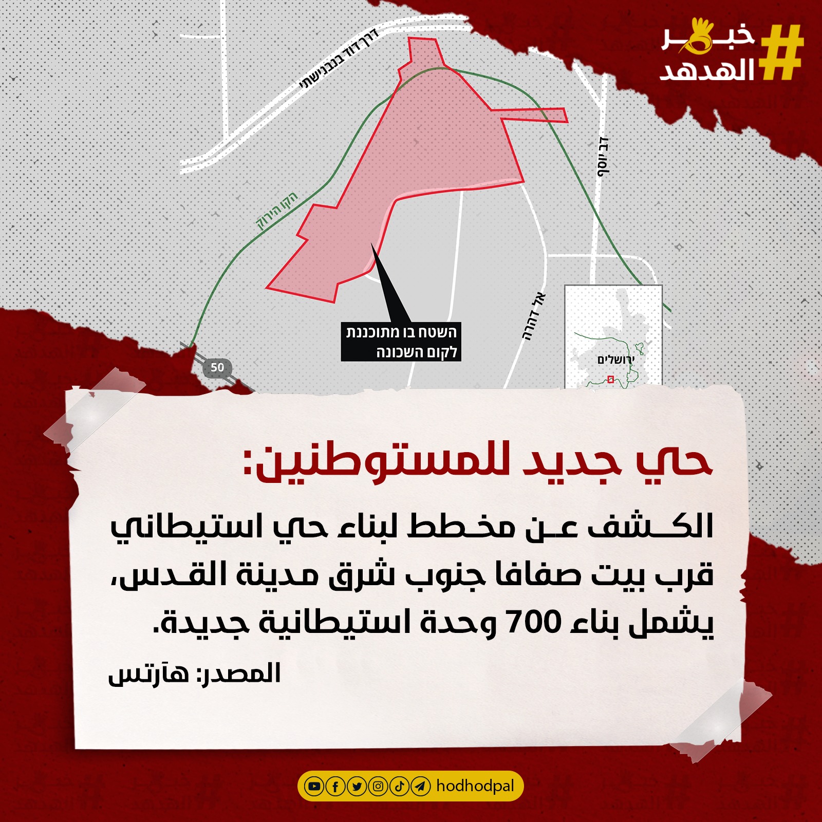 #خبر_الهدهد