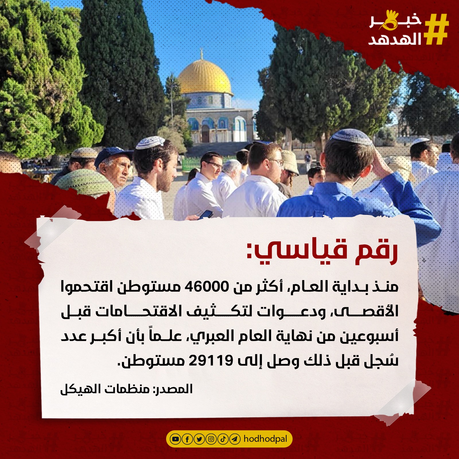 #خبر_الهدهد