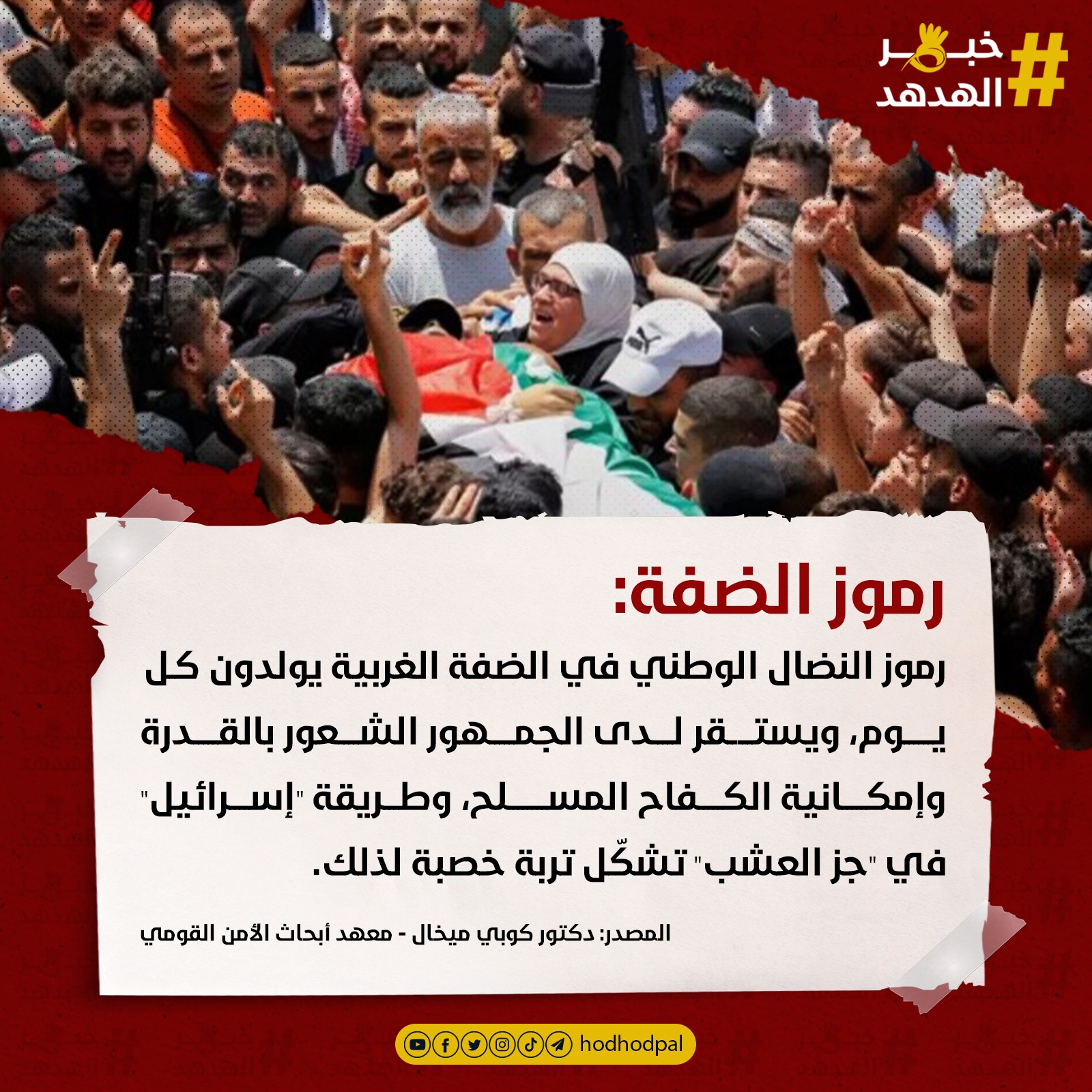 #خبر_الهدهد