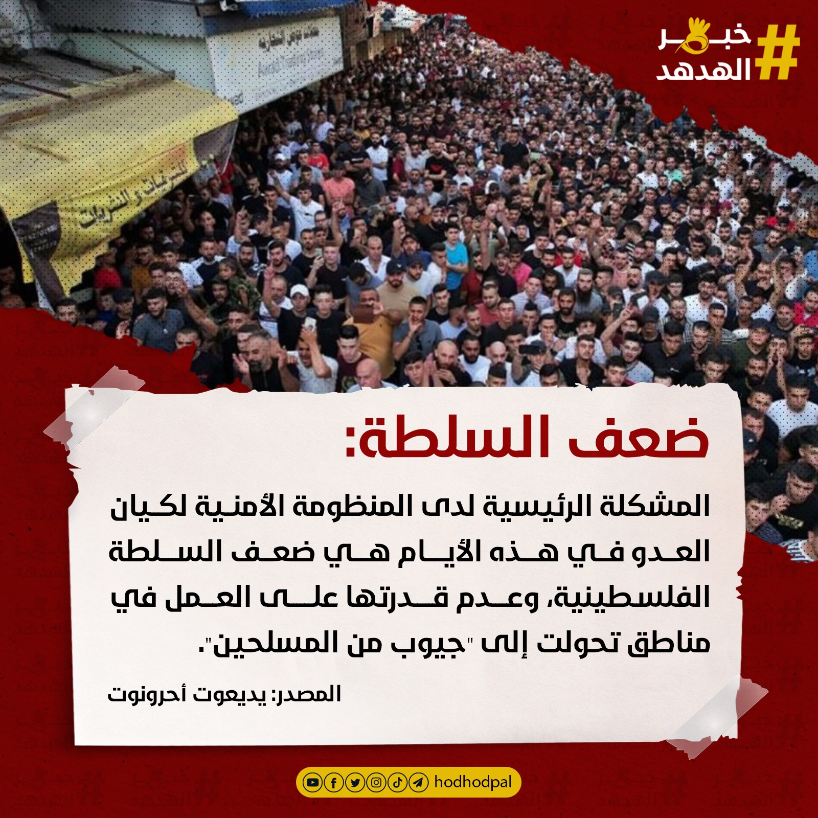 #خبر_الهدهد