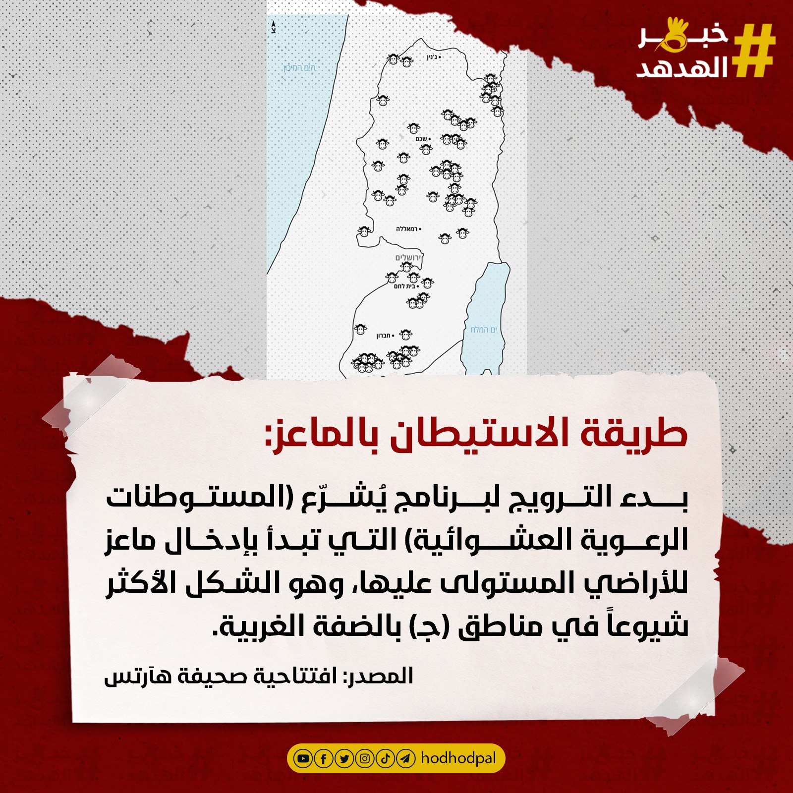 #خبر_الهدهد