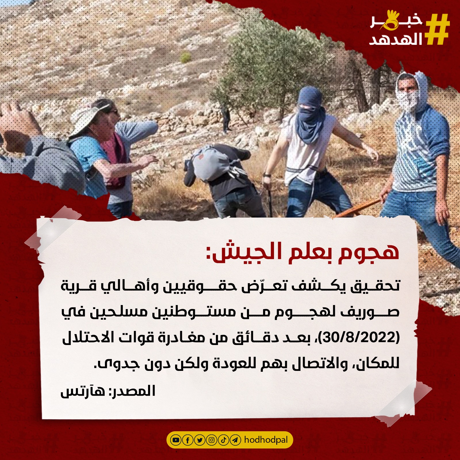 #خبر_الهدهد