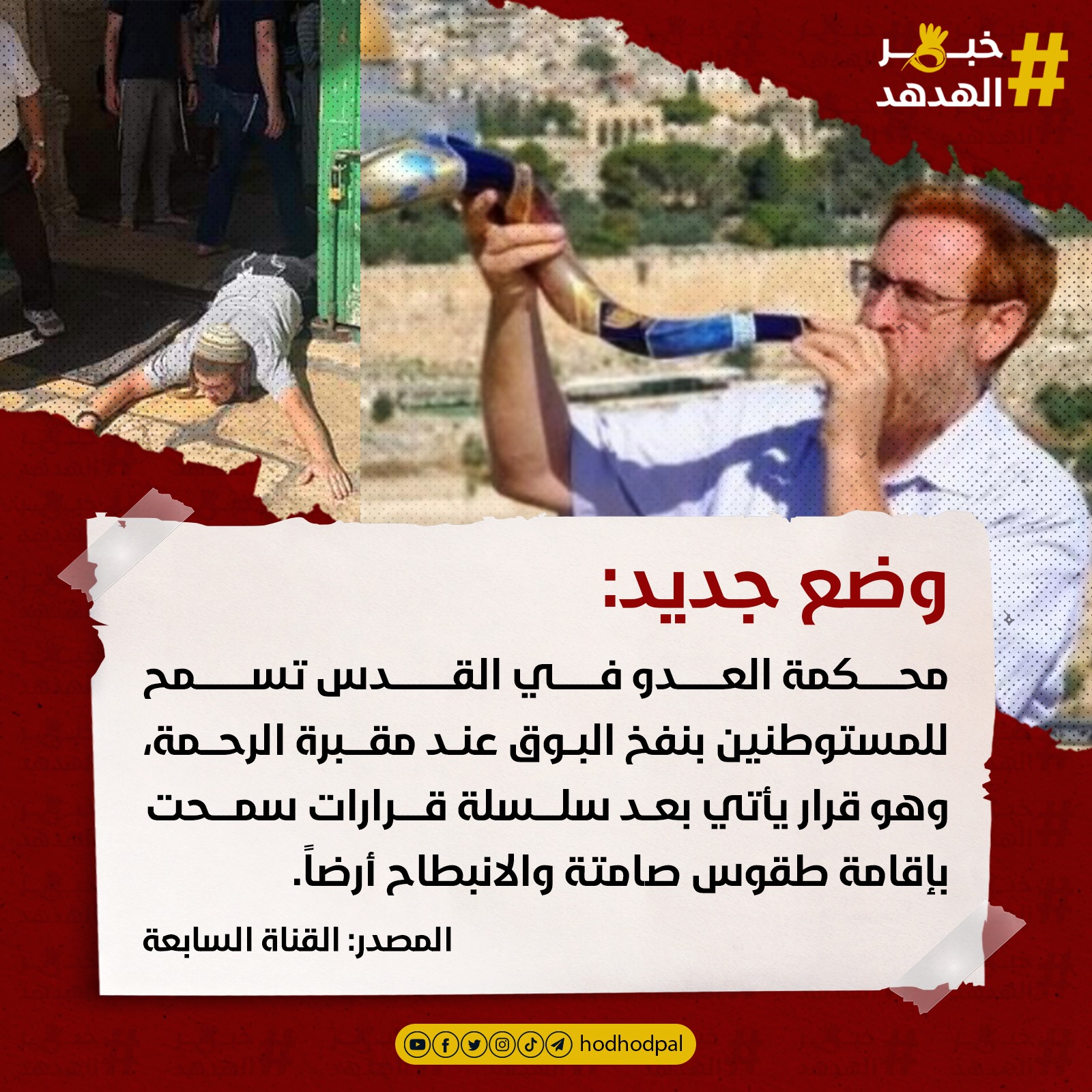 #خبر_الهدهد