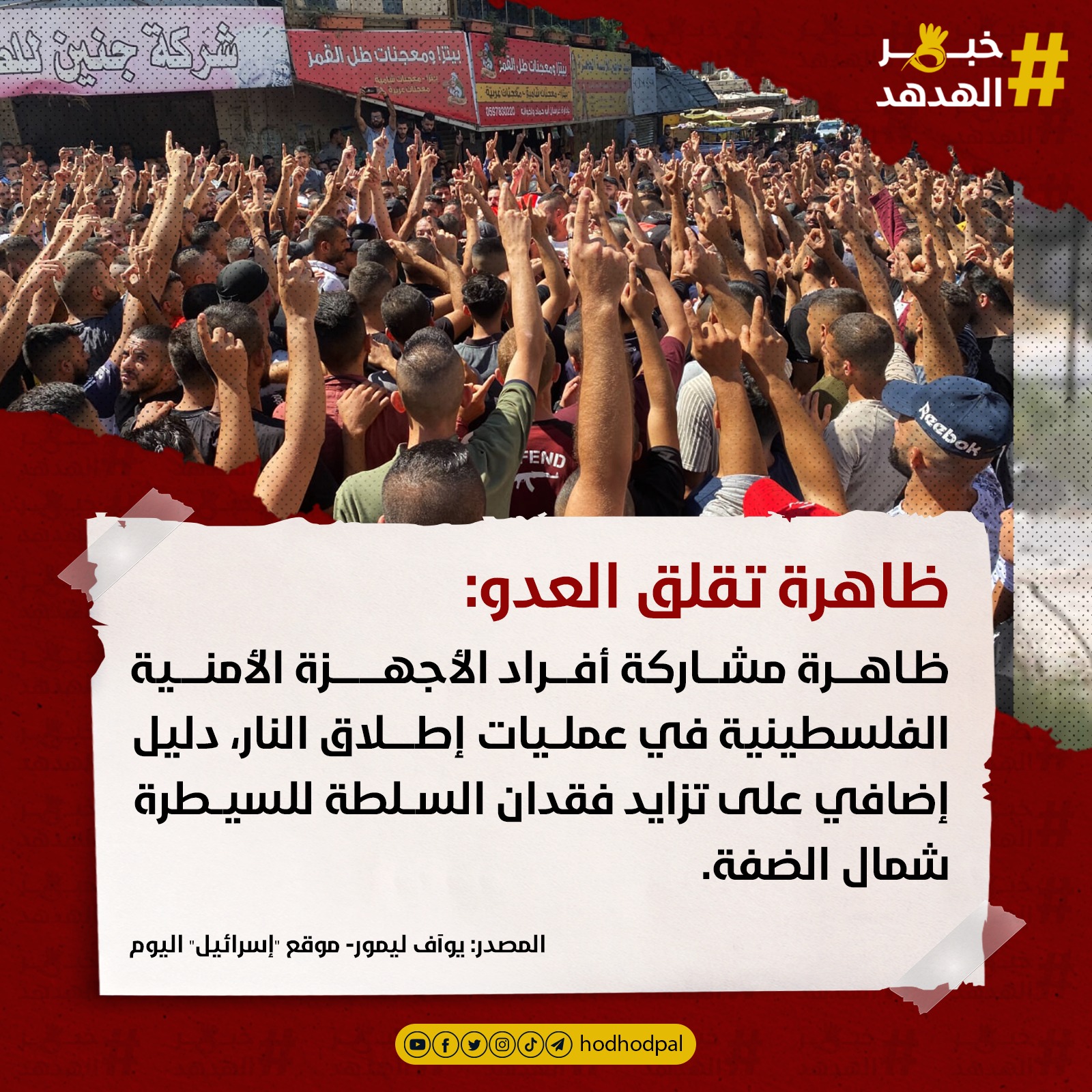 #خبر_الهدهد