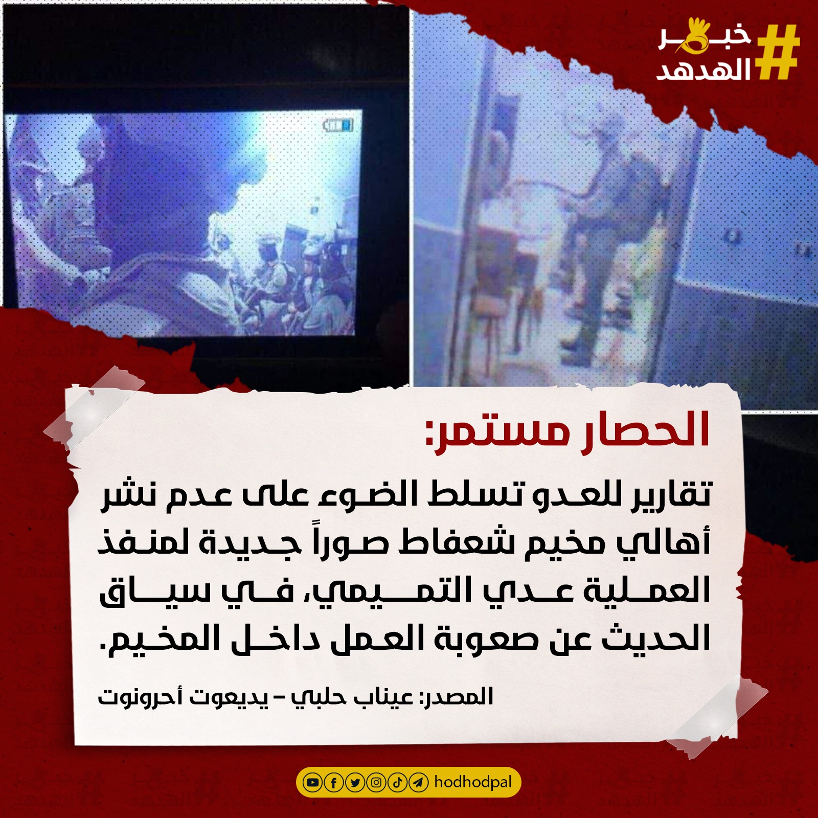 #خبر_الهدهد