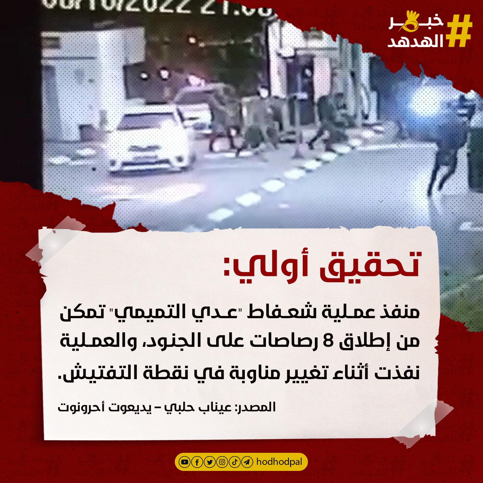 #خبر_الهدهد