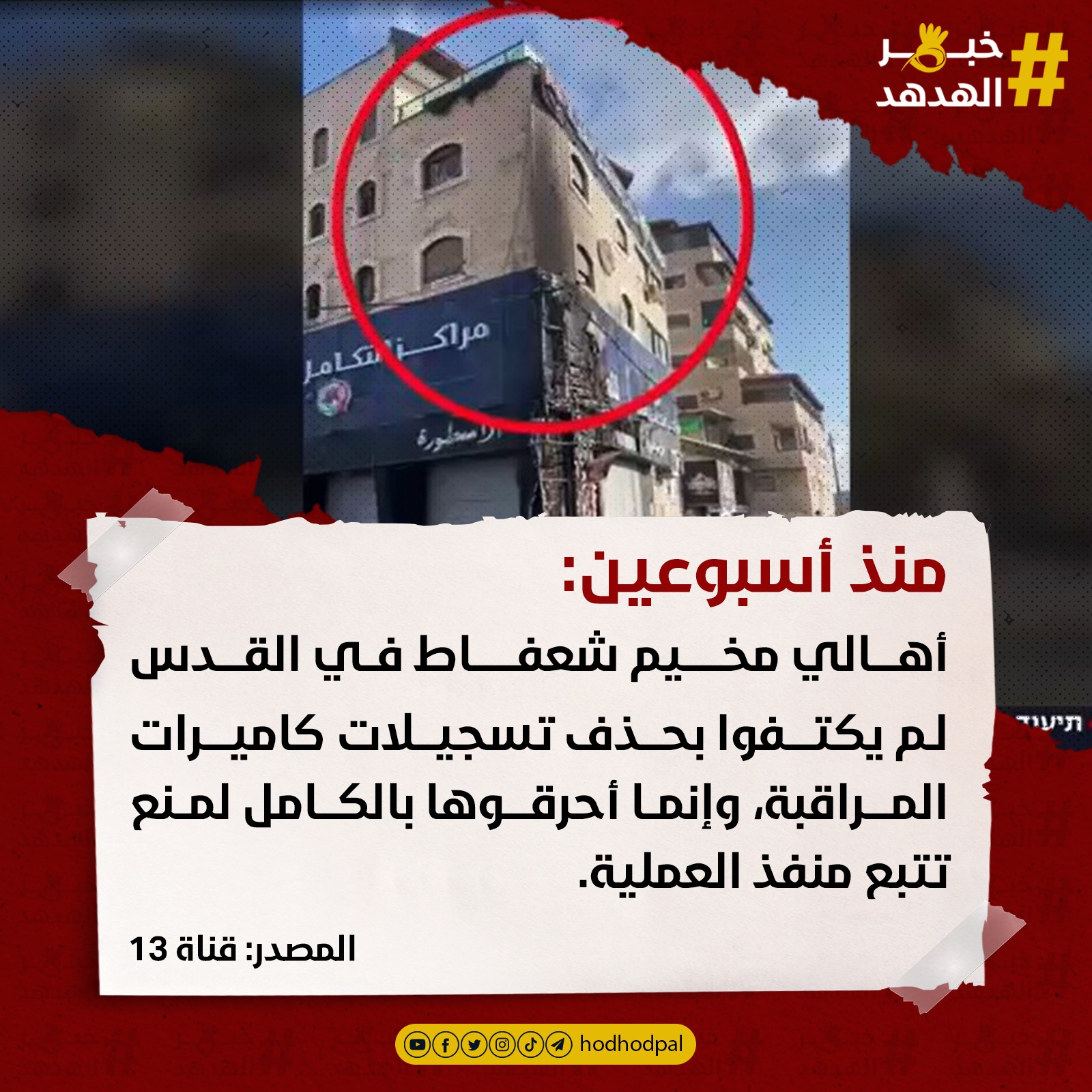 #خبر_الهدهد