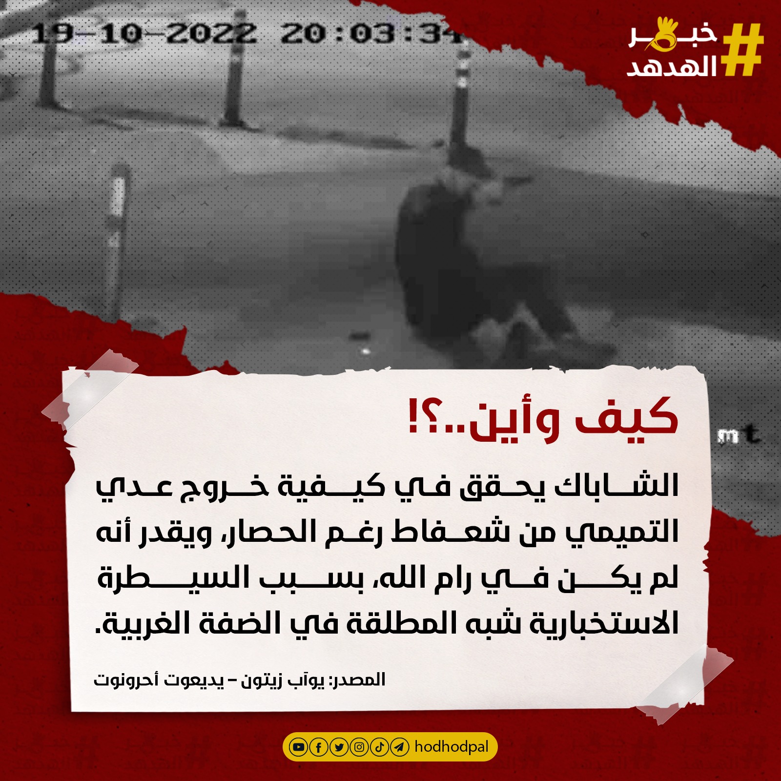 #خبر_الهدهد