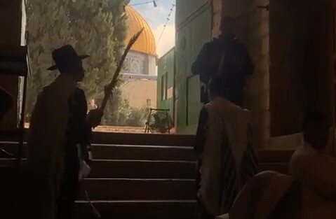 طقوس تقديم القرابين على باب القطانين أمام المسجد الأقصى
