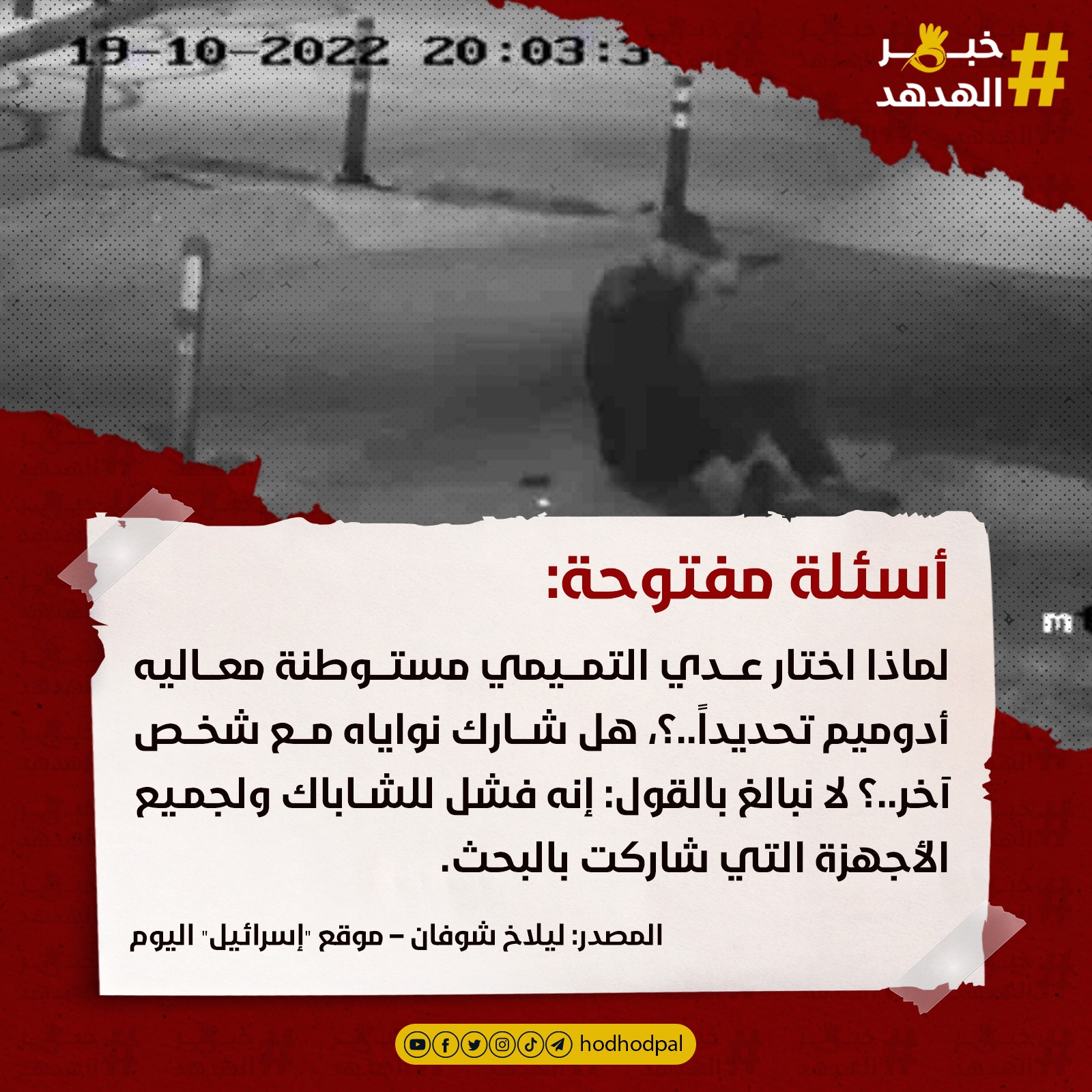 #خبر_الهدهد