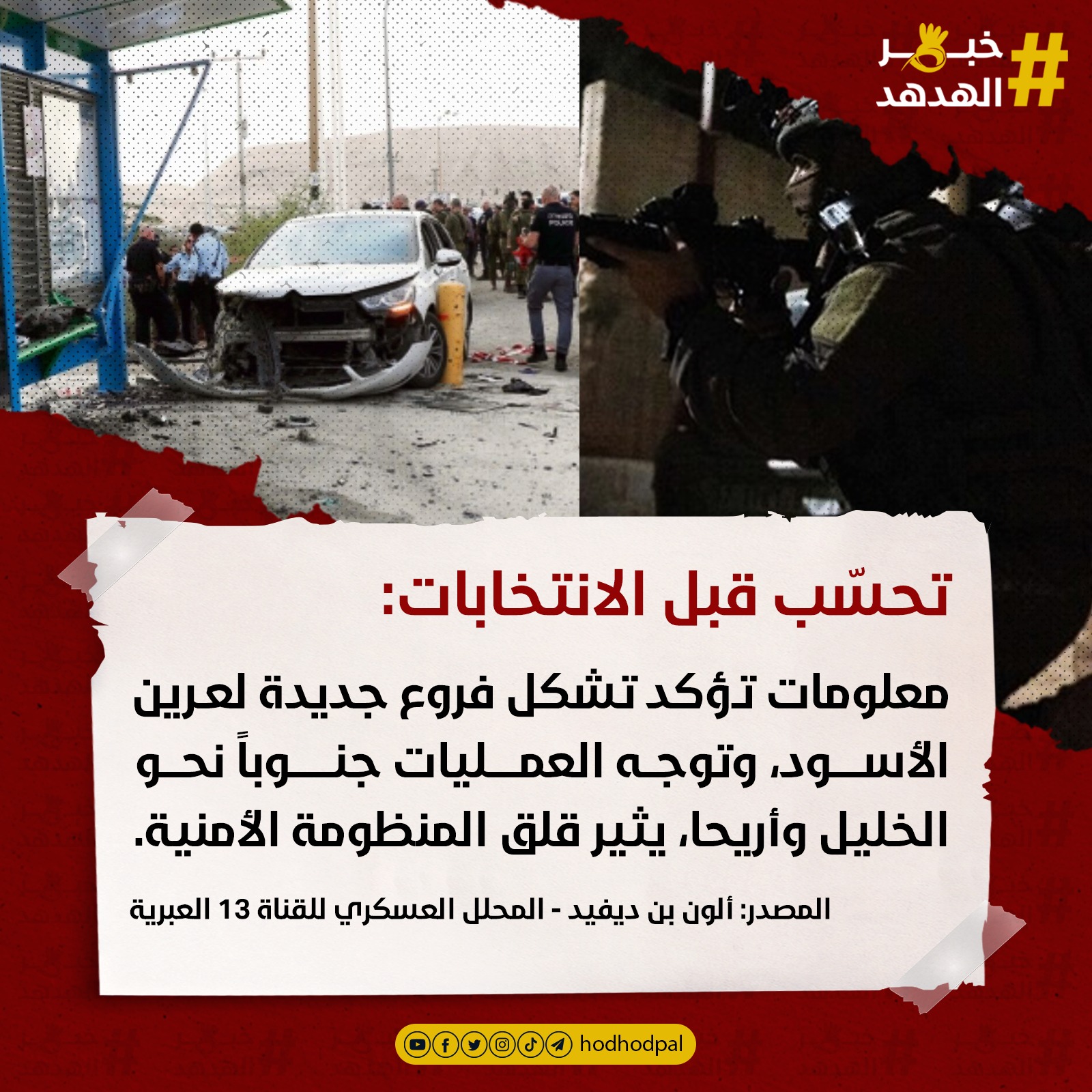 #خبر_الهدهد