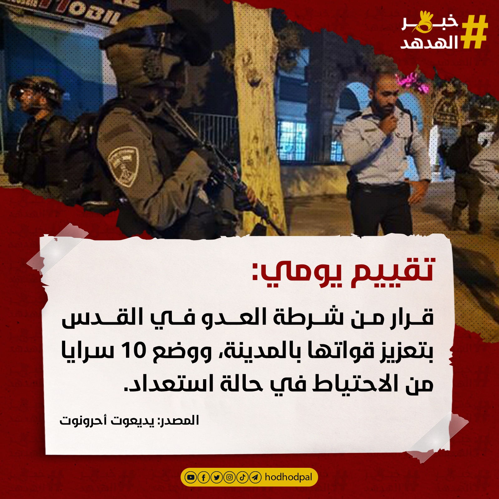 #خبر_الهدهد