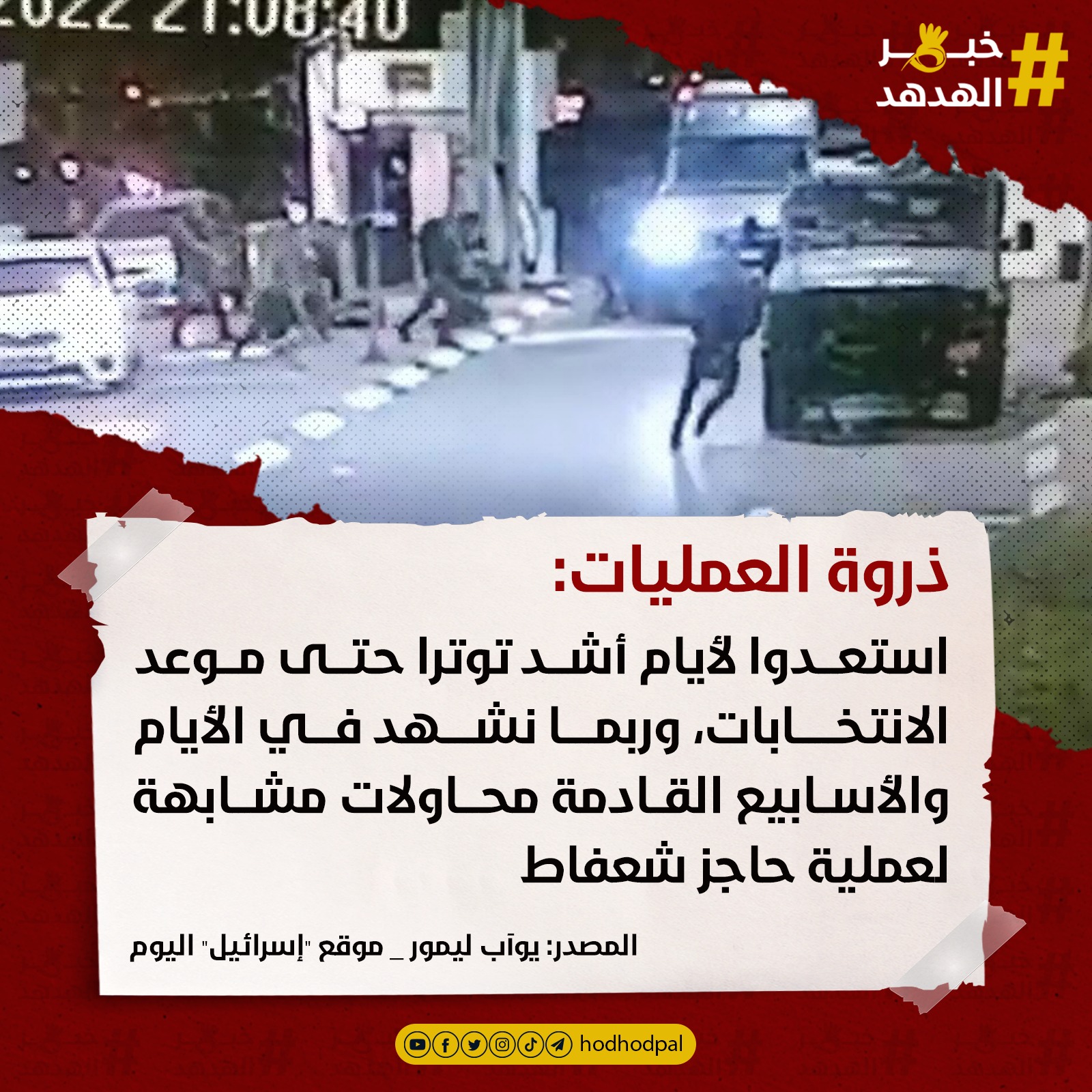 #خبر_الهدهد