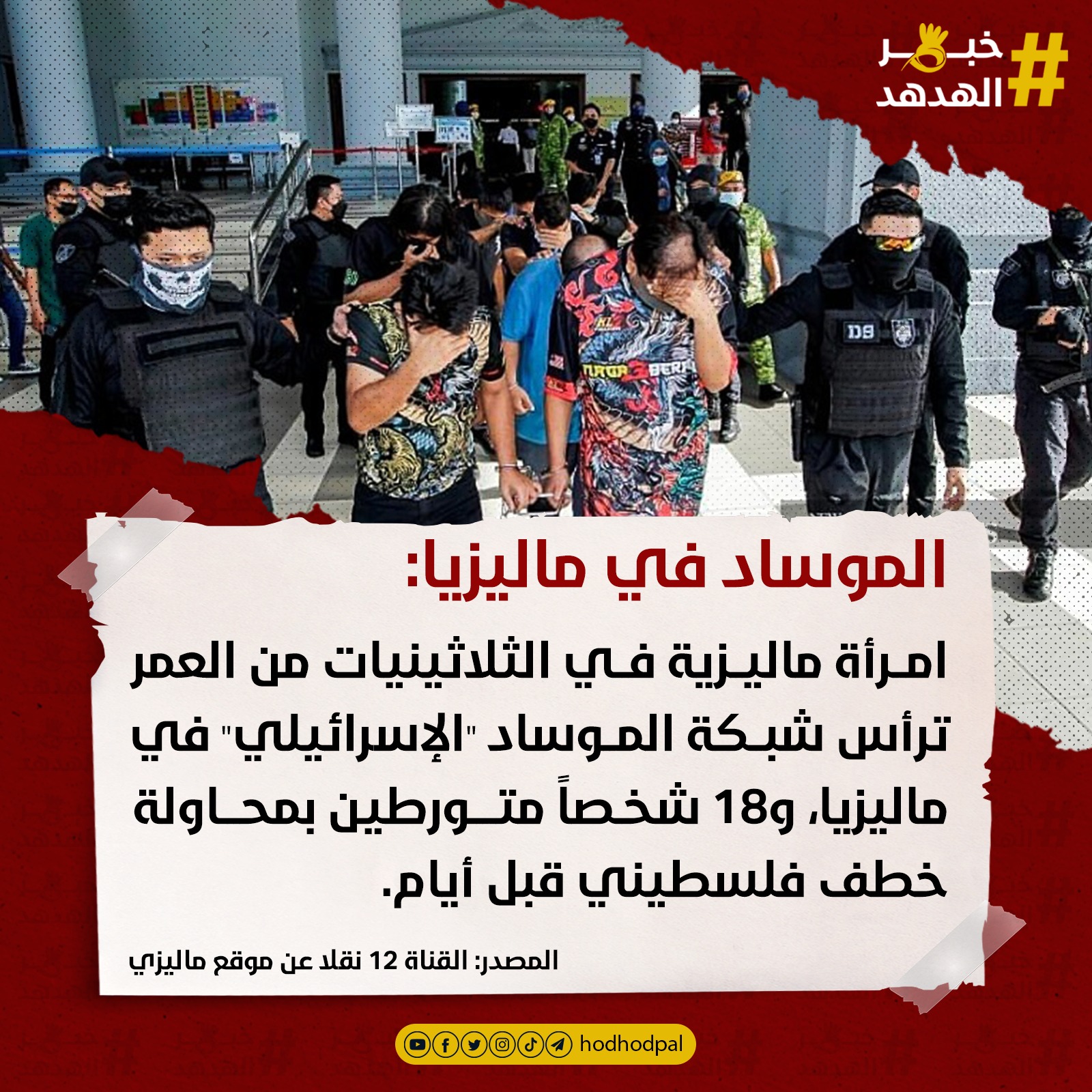 #خبر_الهدهد