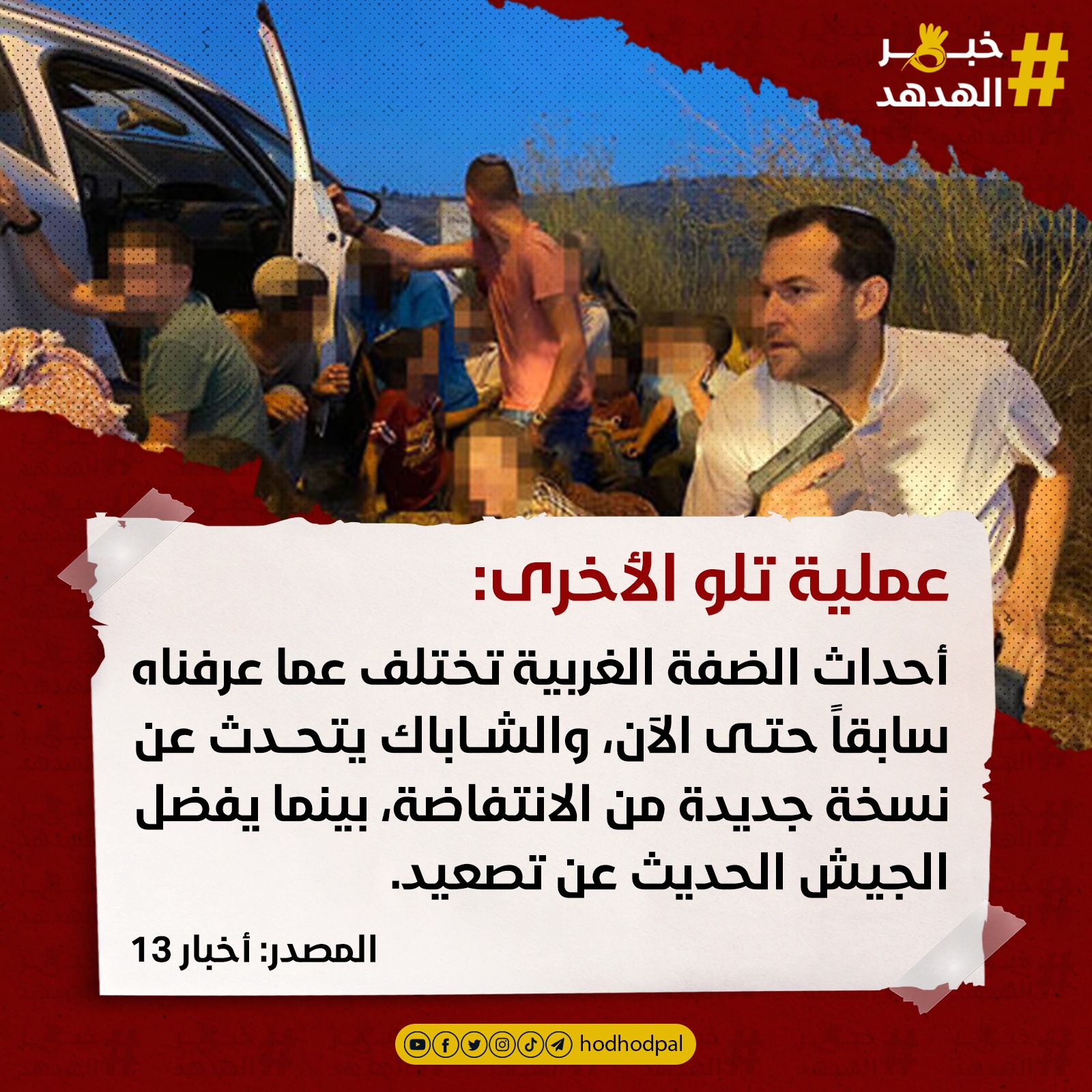 #خبر_الهدهد