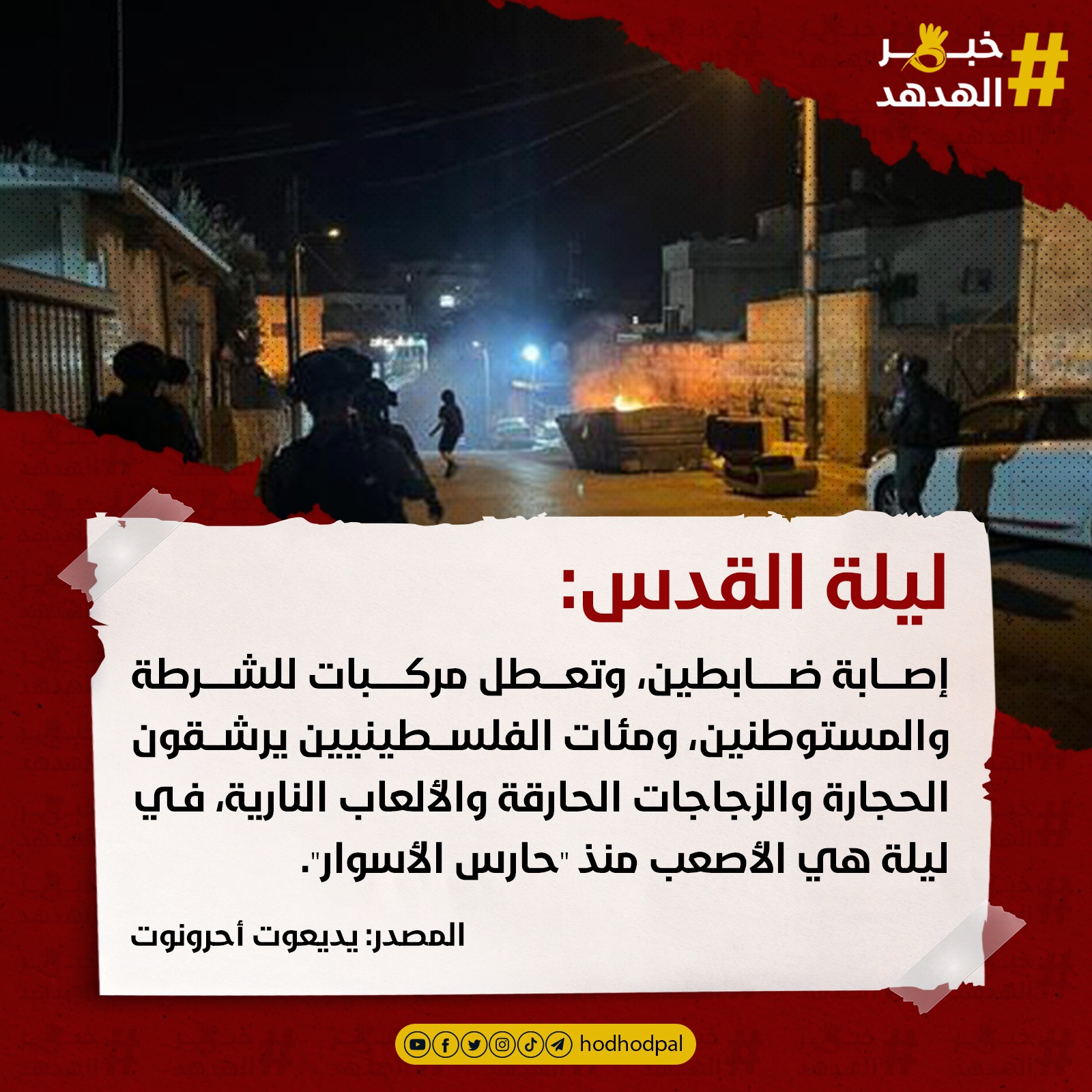 #خبر_الهدهد