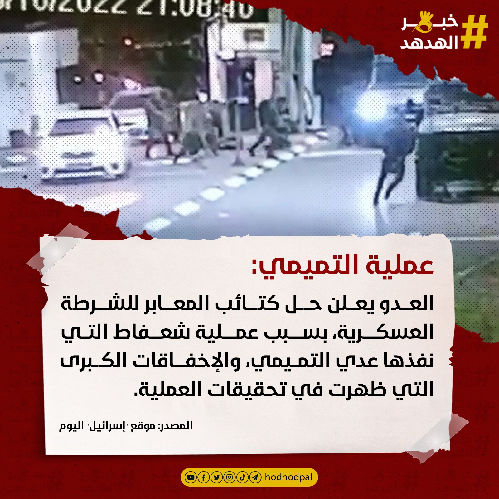 #خبر_الهدهد