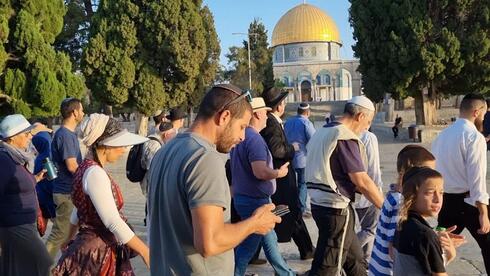 7 أسباب تمنع المستوطنين من "الصلاة" في المسجد الأقصى