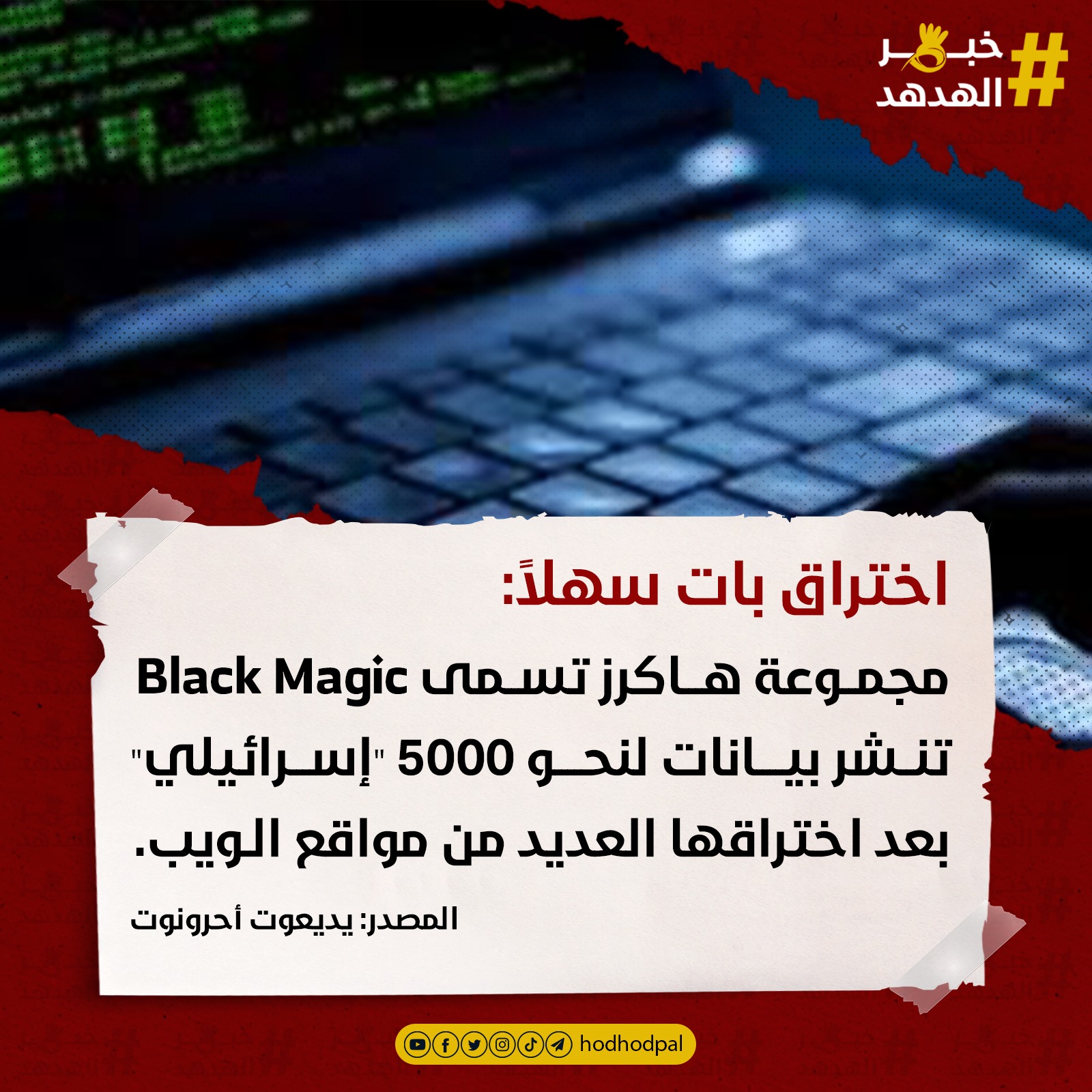 #خبر_الهدهد