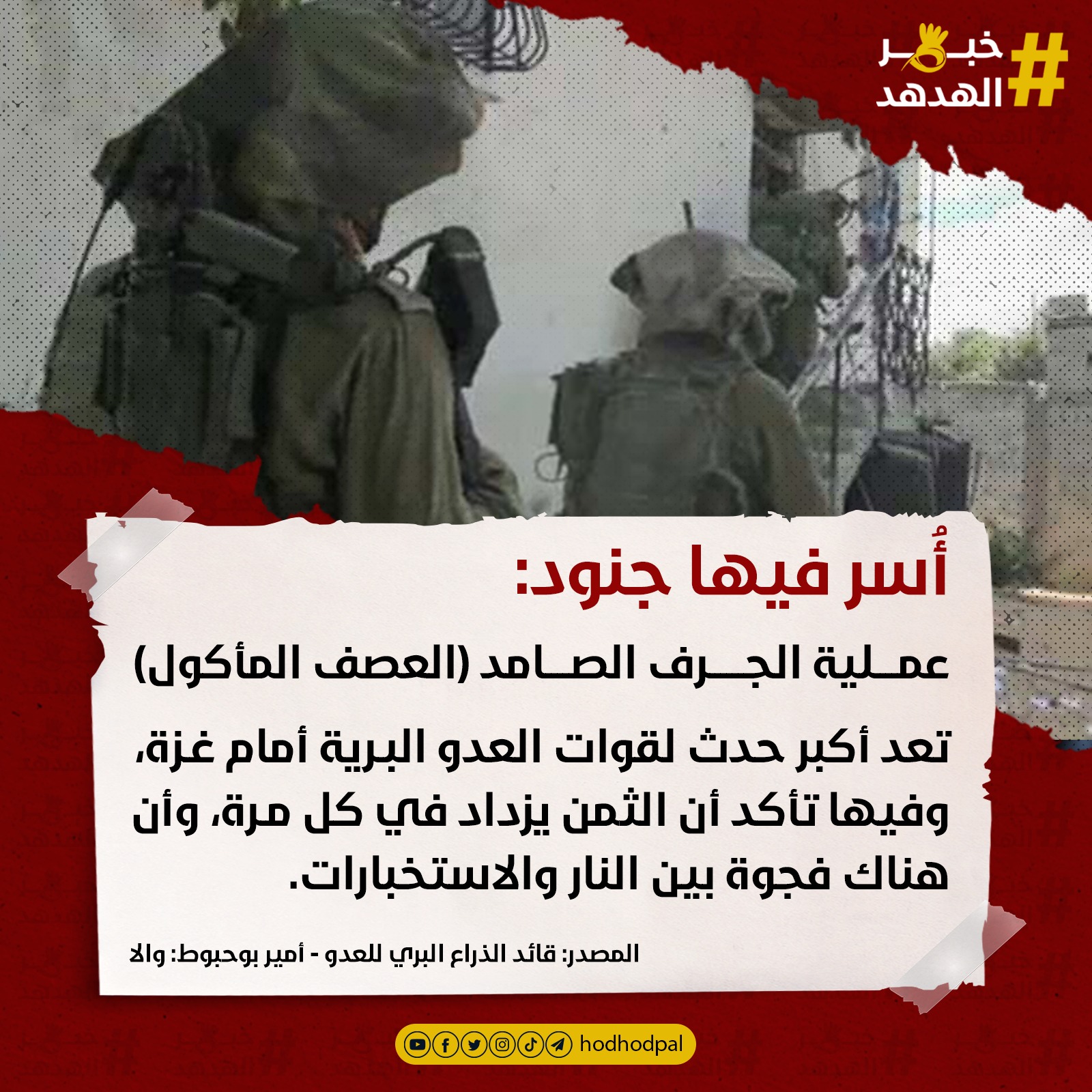 #خبر_الهدهد