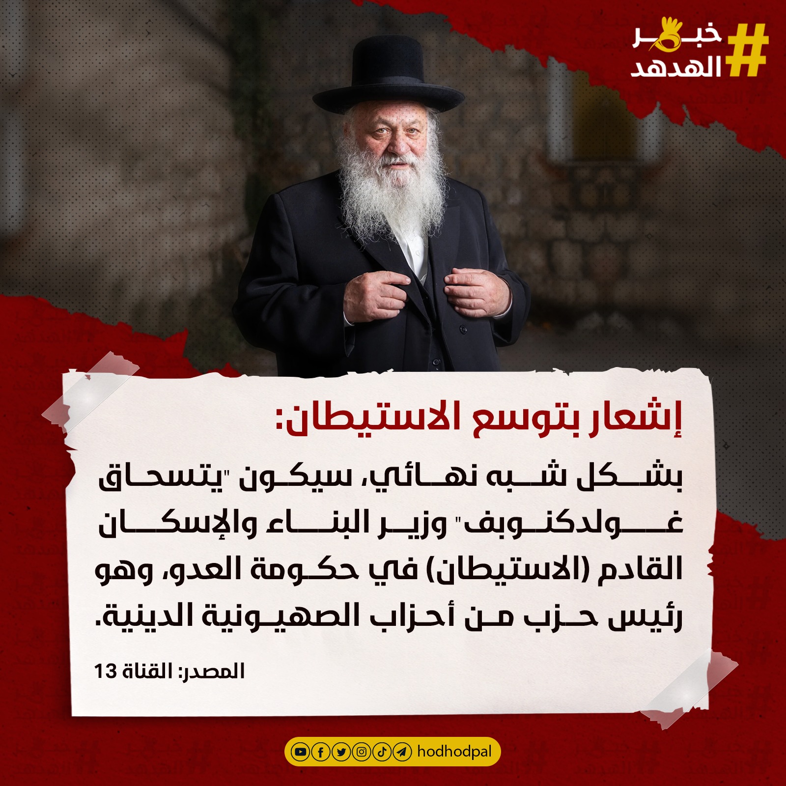 #خبر_الهدهد