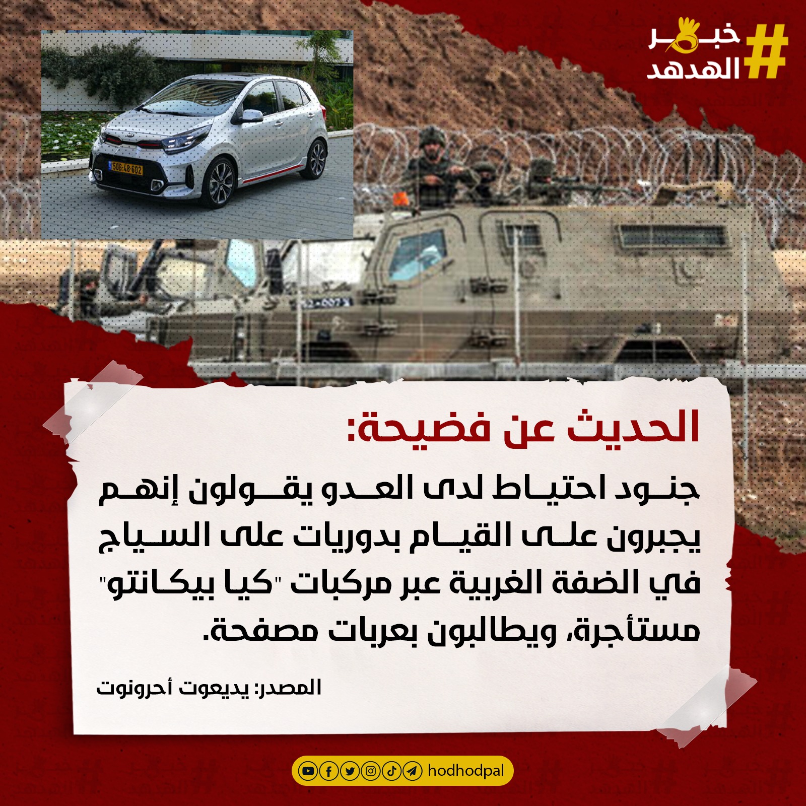 #خبر_الهدهد