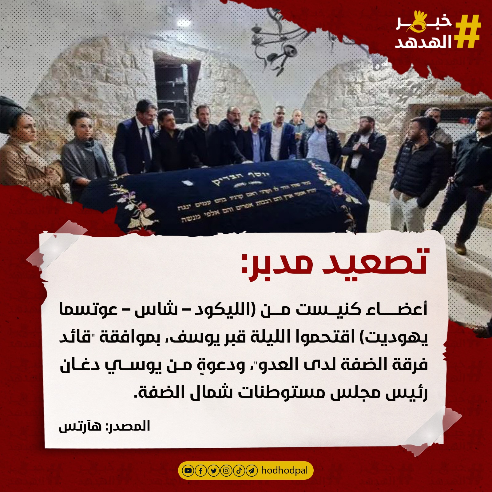 #خبر_الهدهد